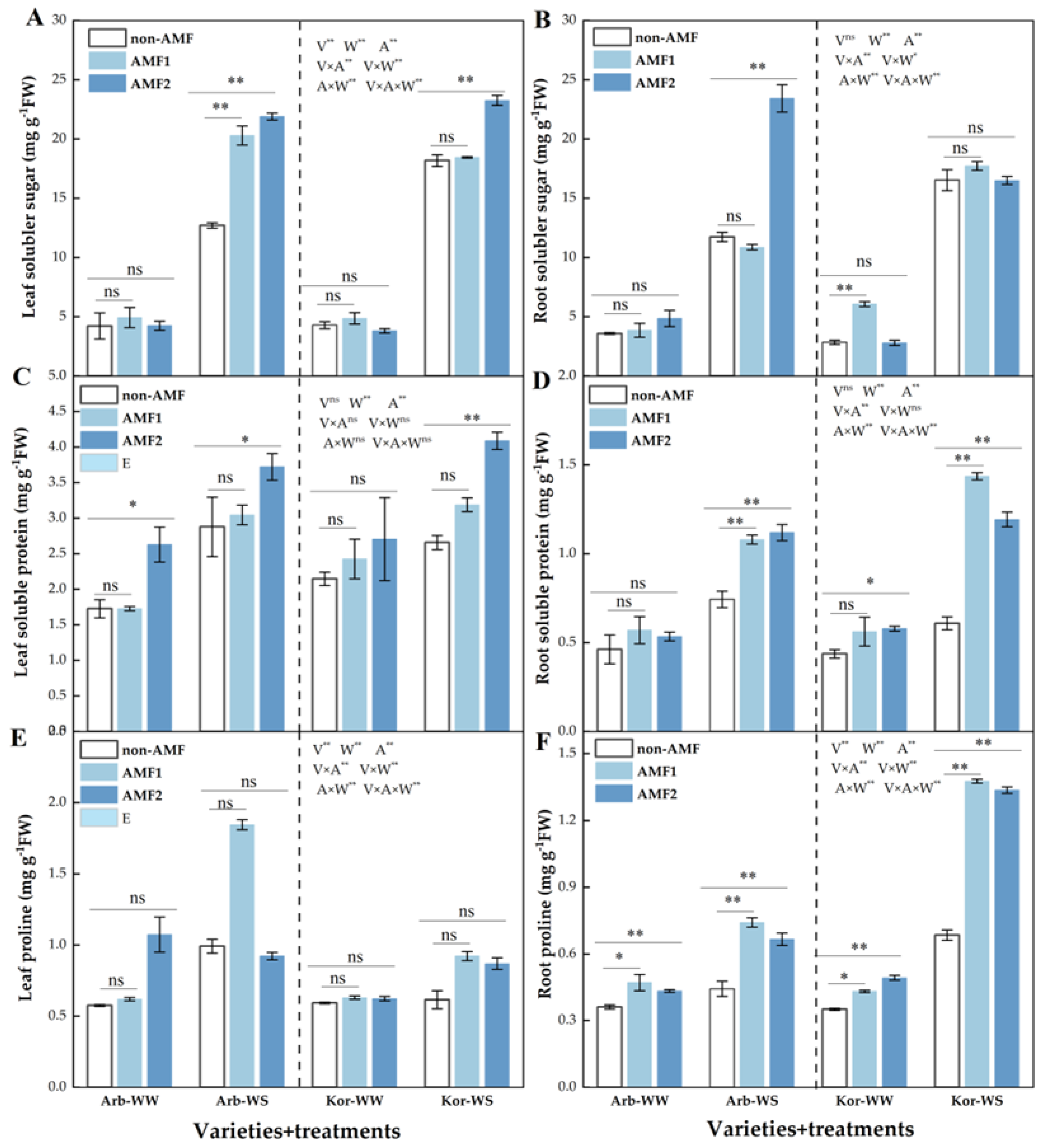 Agronomy 15 02568 g006