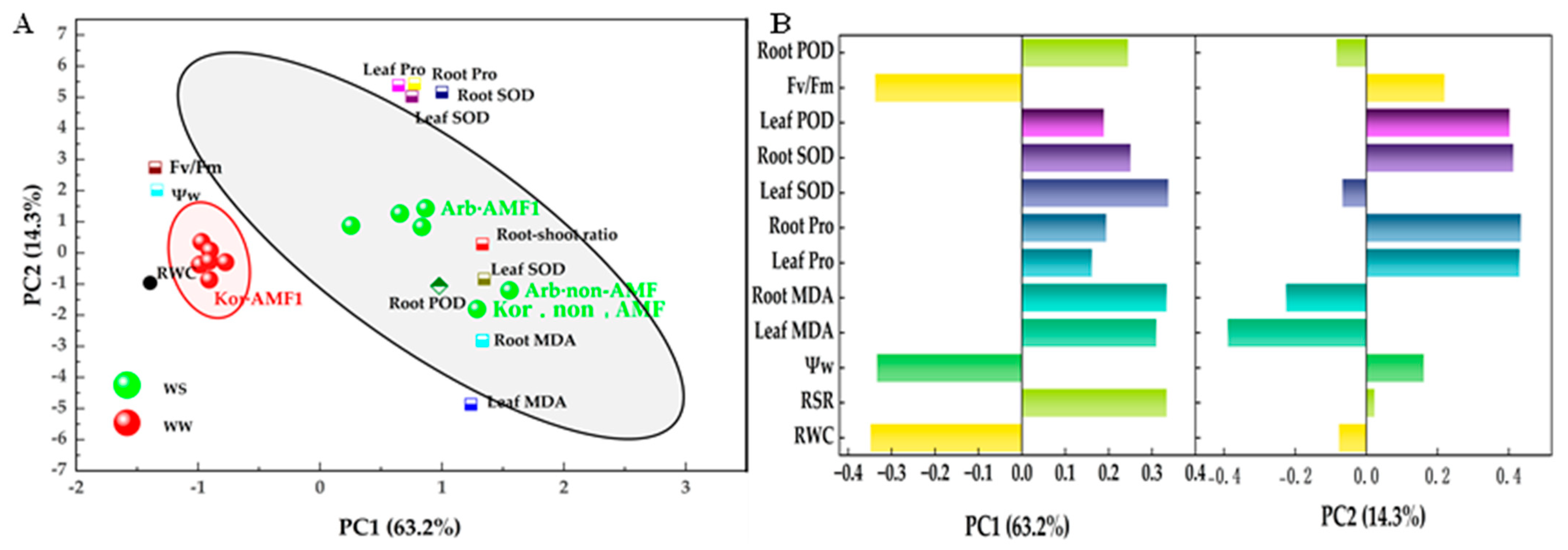 Agronomy 15 02568 g007