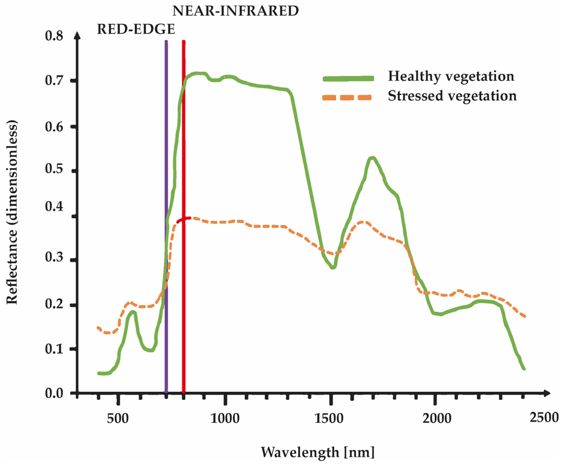 Agronomy 15 02569 g002