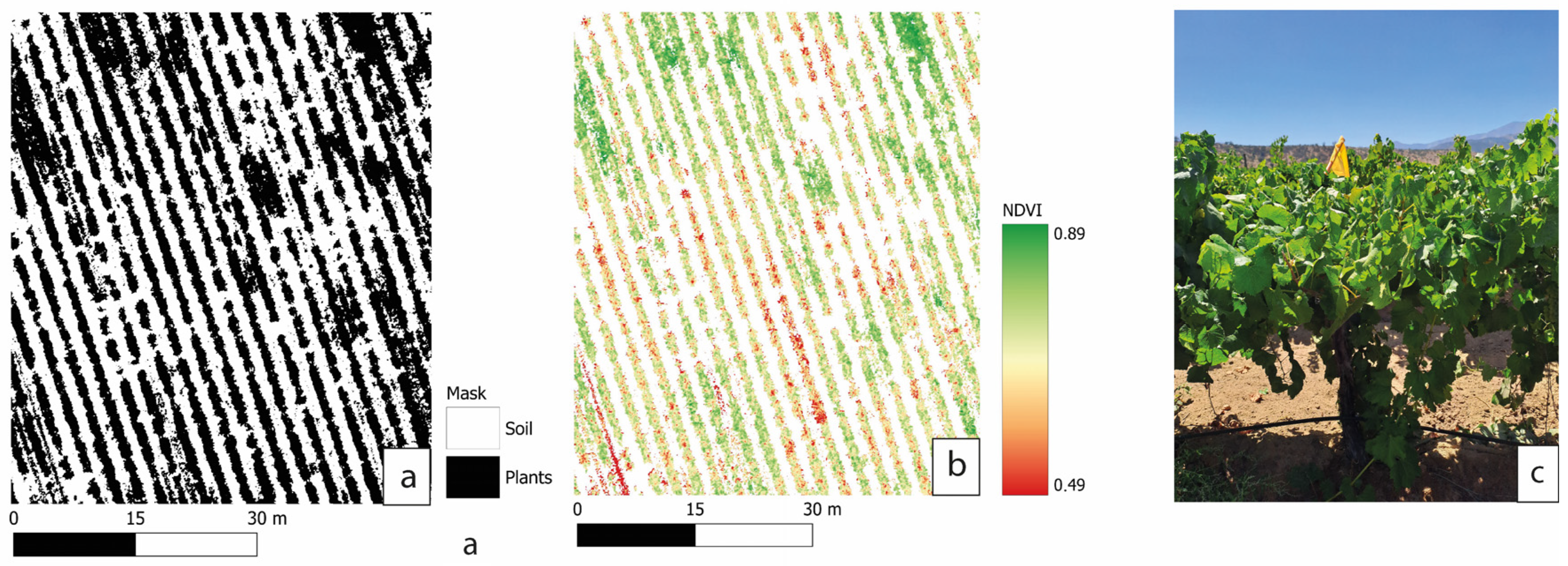 Agronomy 15 02569 g006