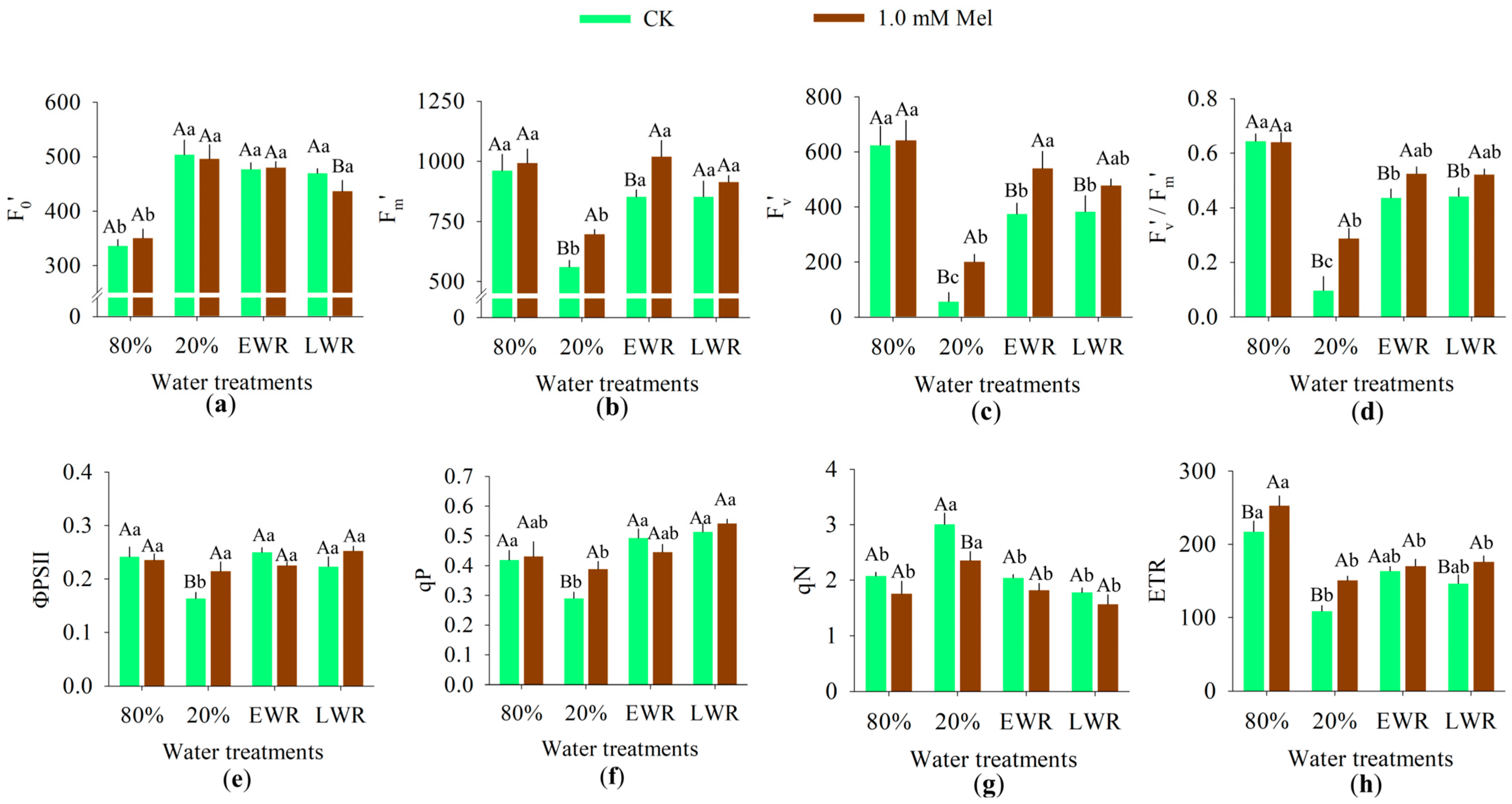 Agronomy 15 02571 g003