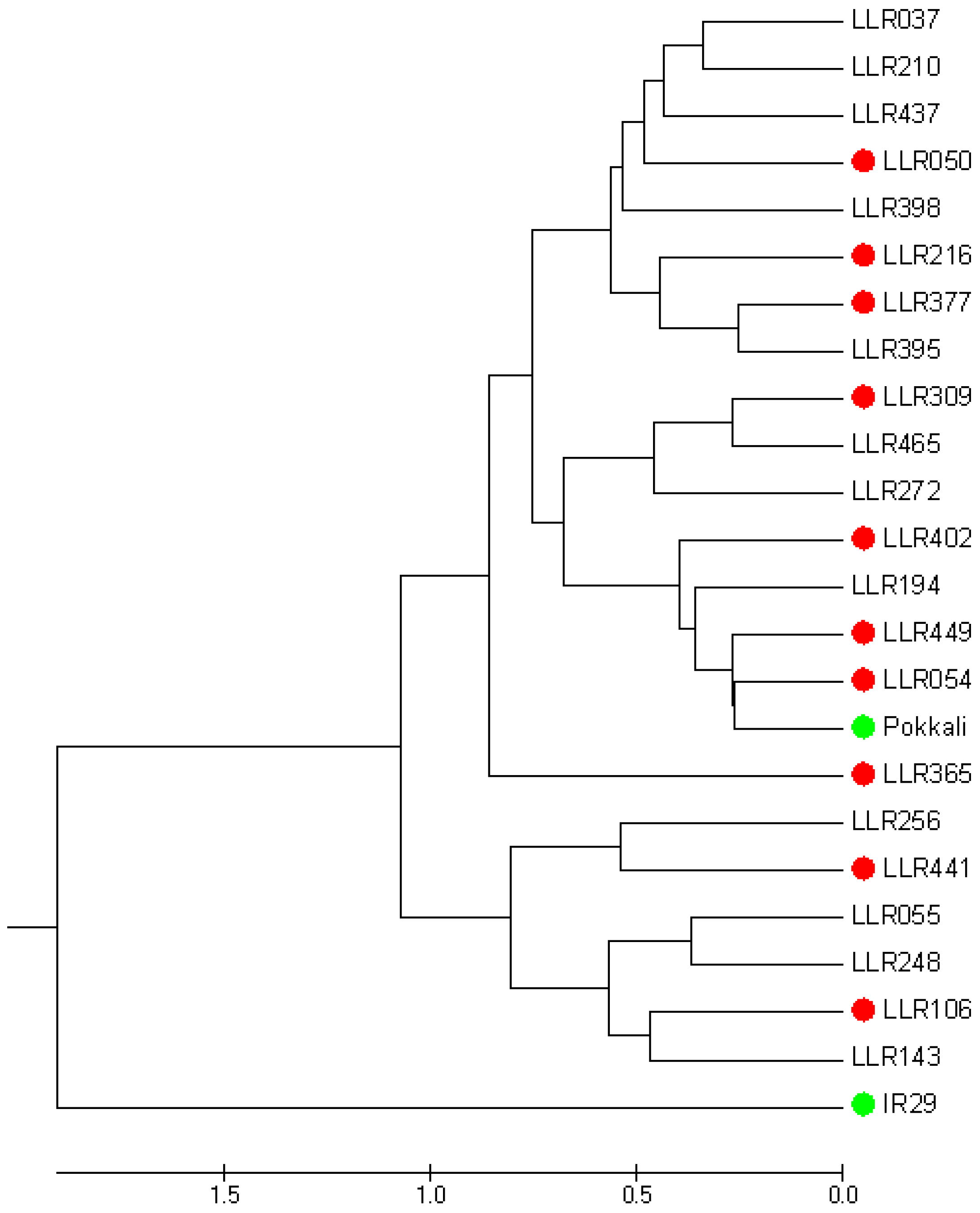 Agronomy 15 02574 g002