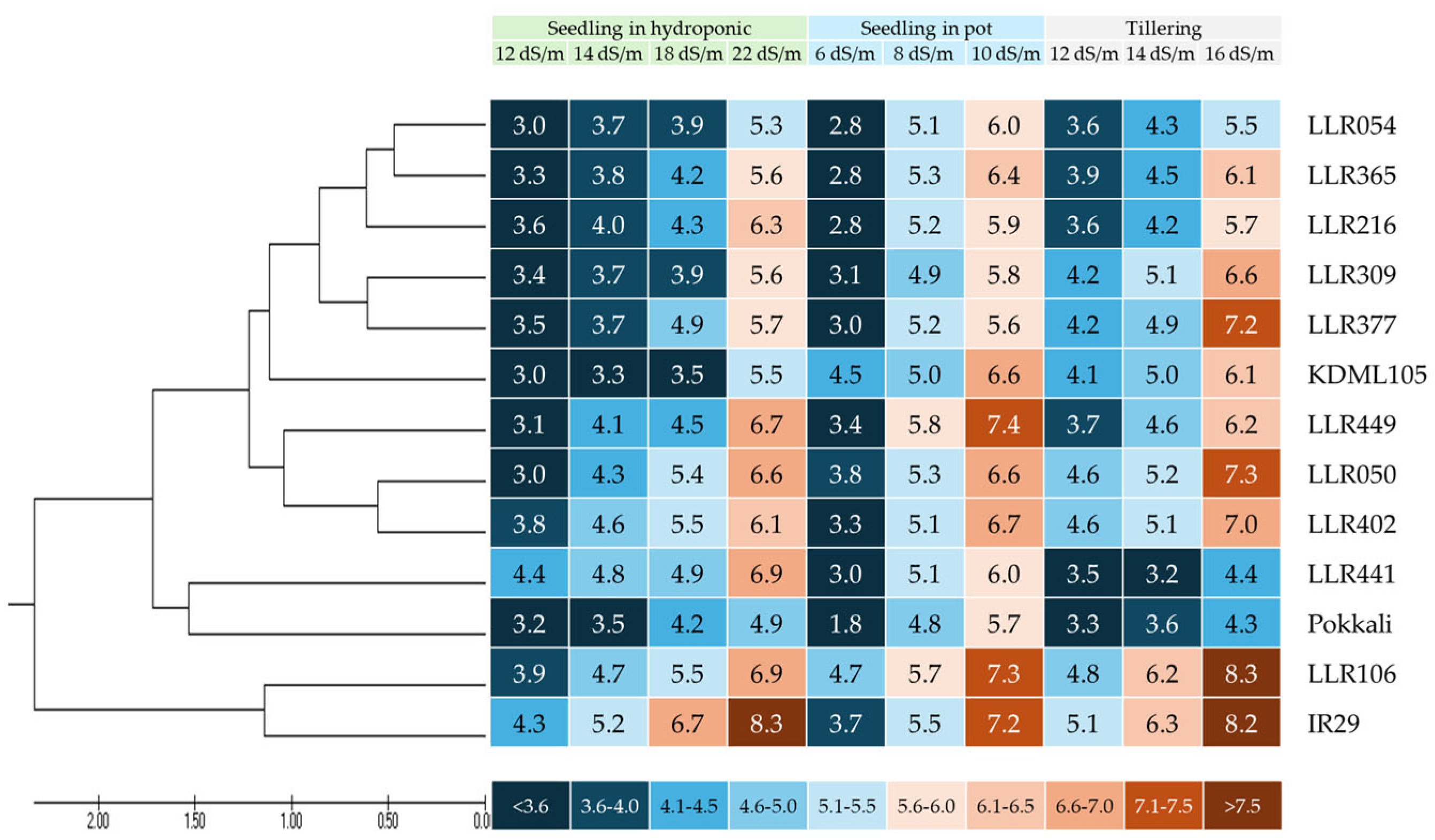Agronomy 15 02574 g003