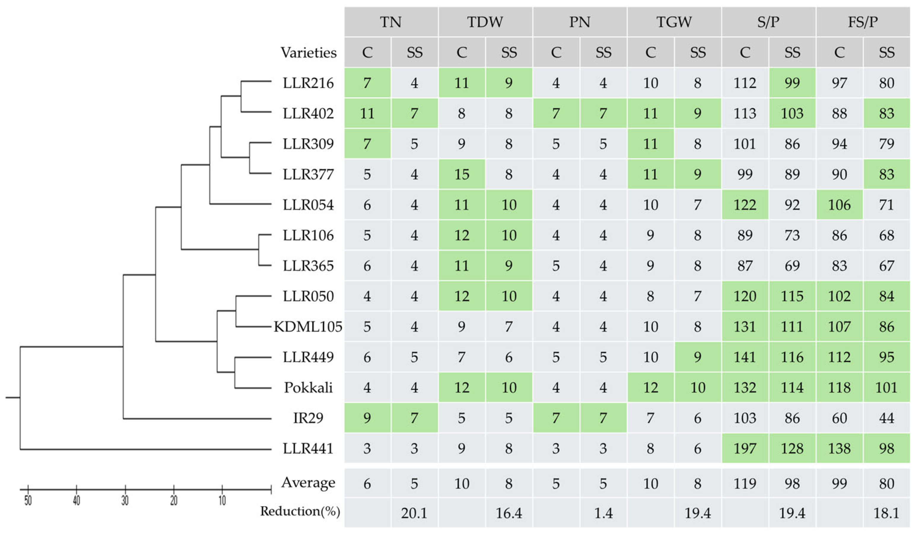 Agronomy 15 02574 g005