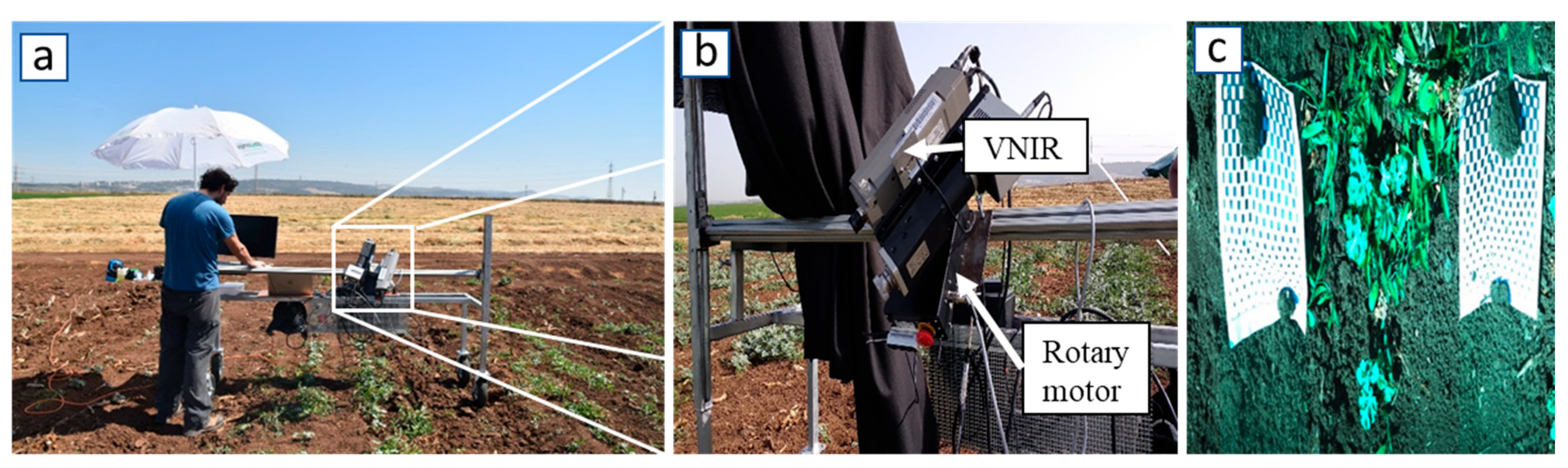 Agronomy 15 02576 g001