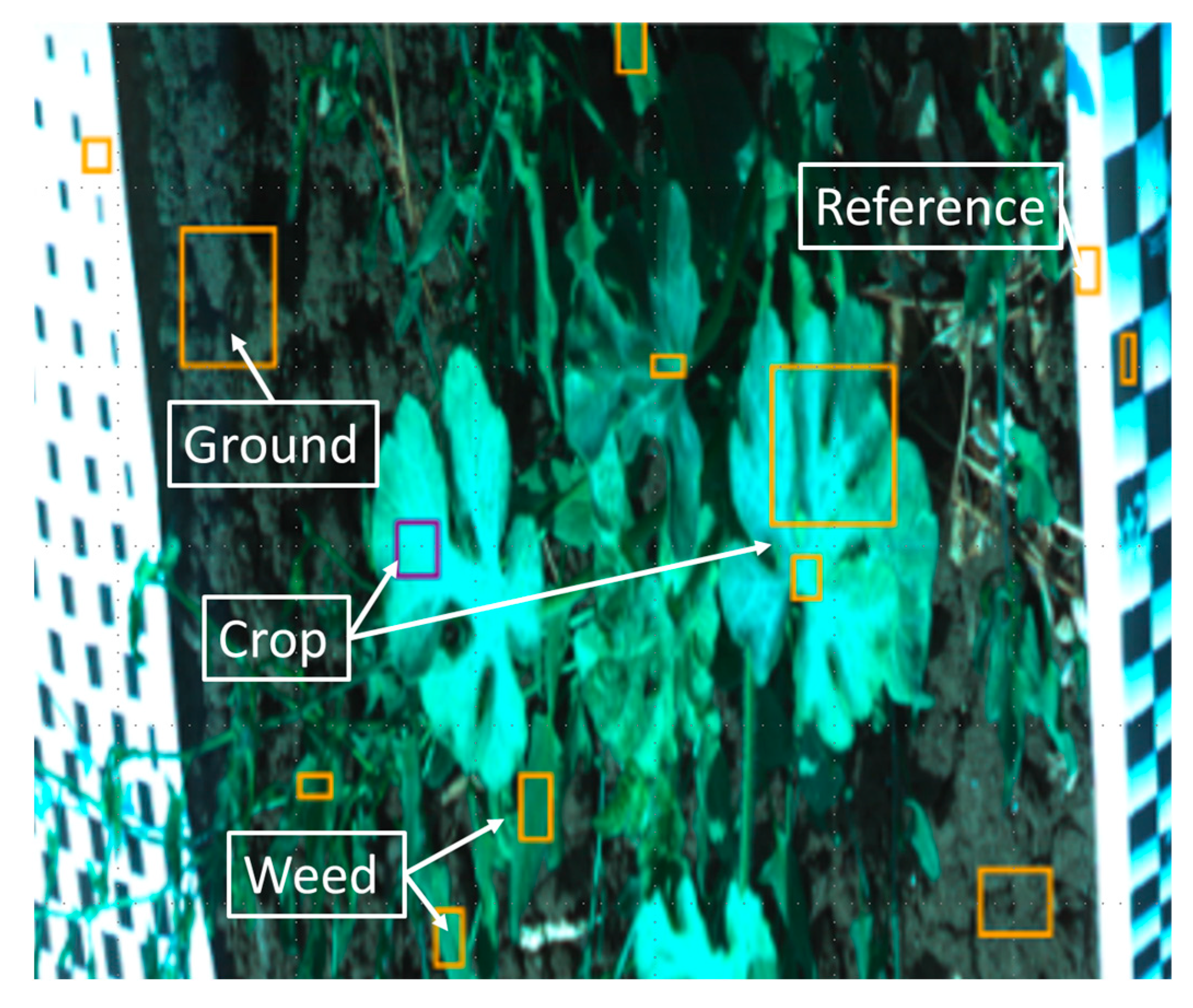 Agronomy 15 02576 g003