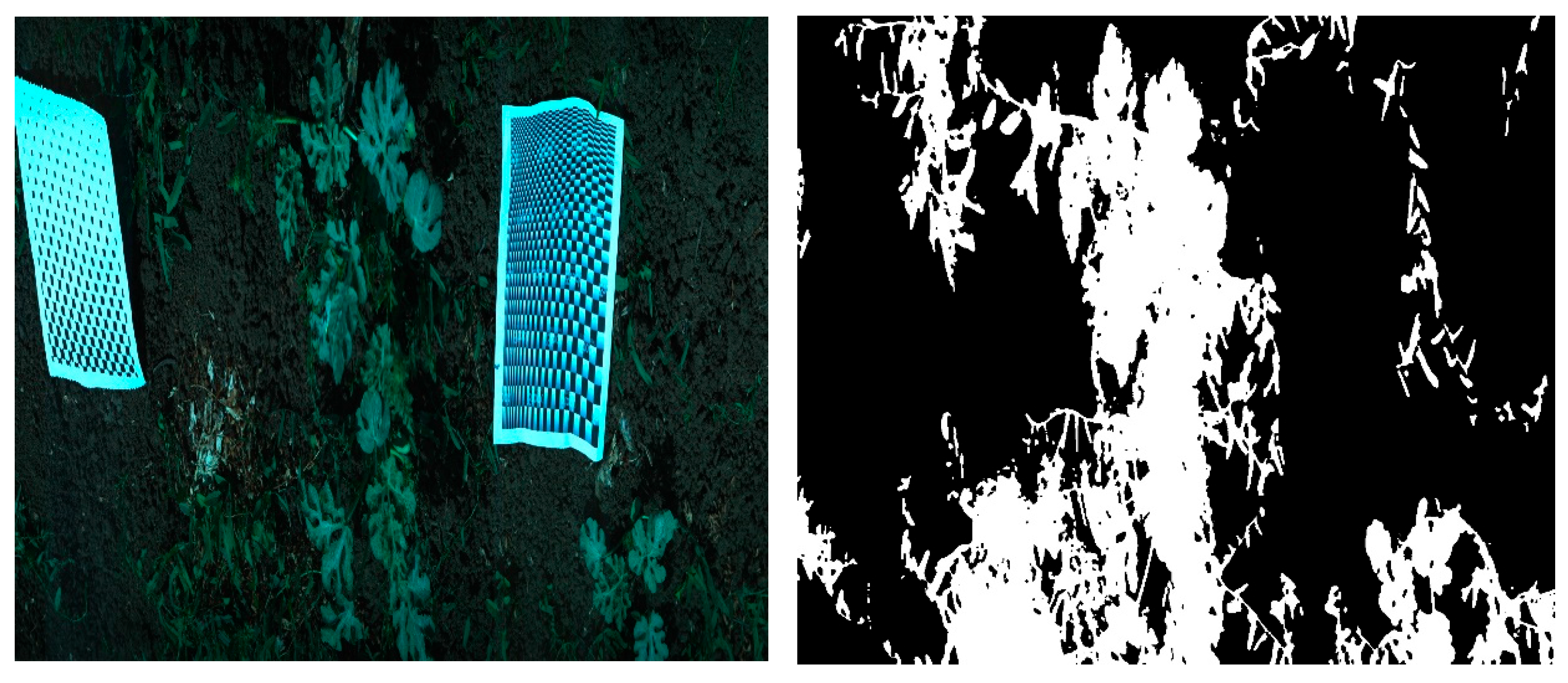 Agronomy 15 02576 g009