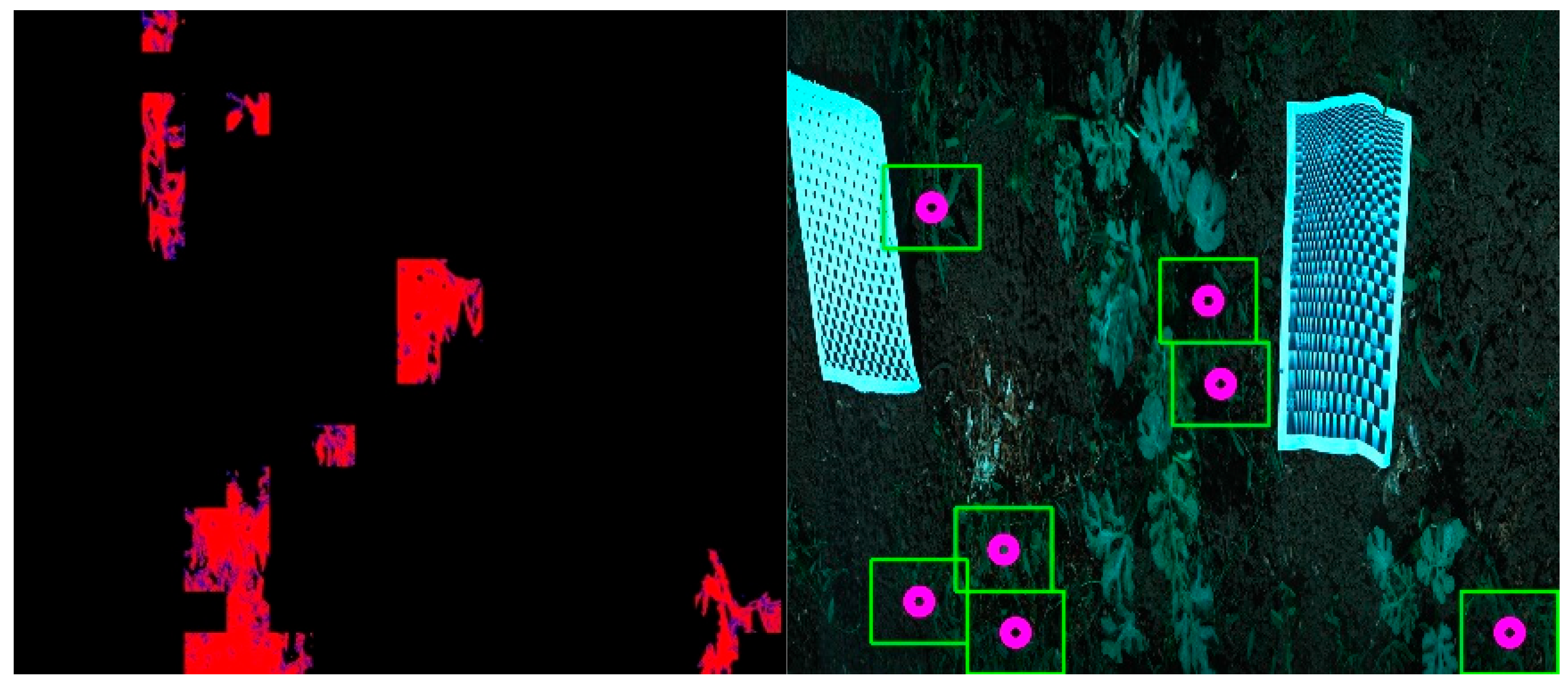 Agronomy 15 02576 g013