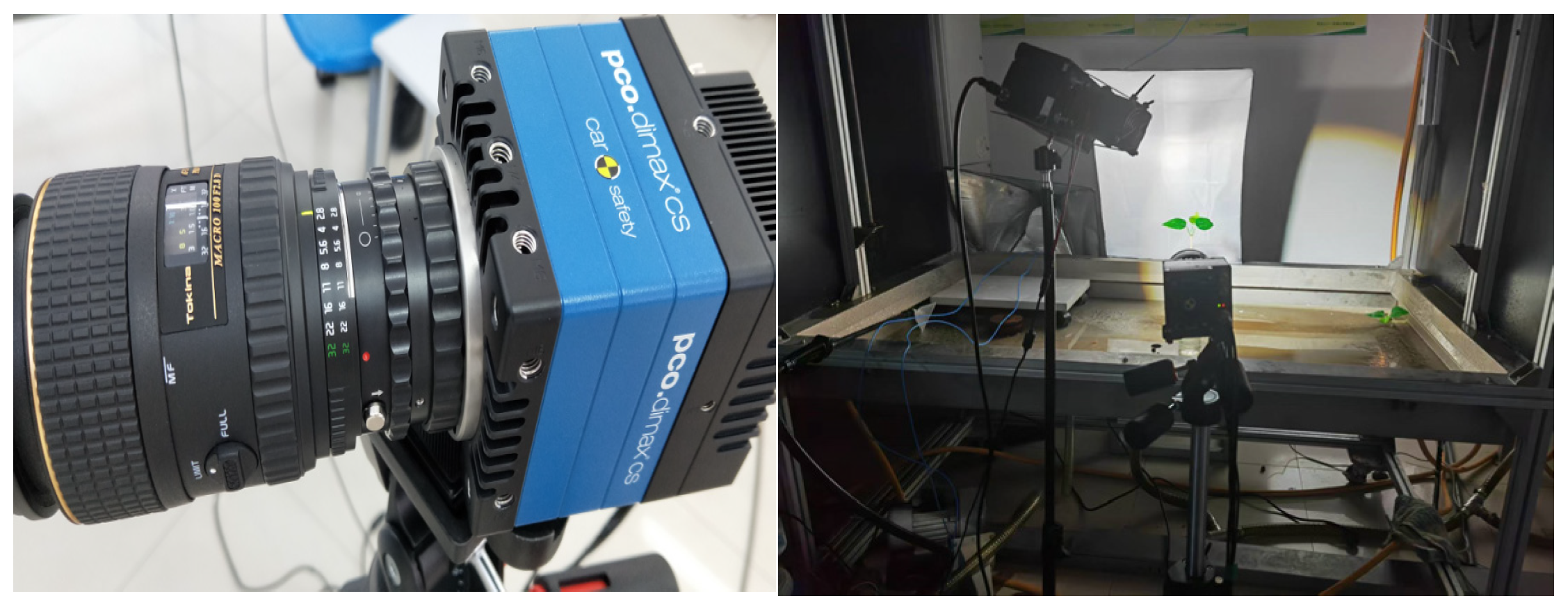 Agronomy 15 02578 g001