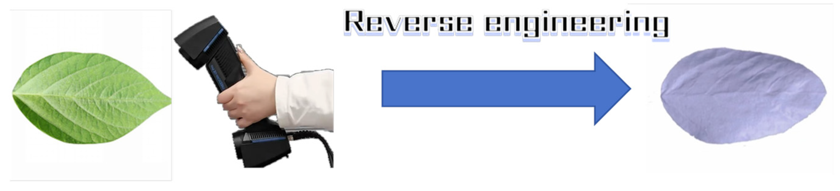 Agronomy 15 02578 g003