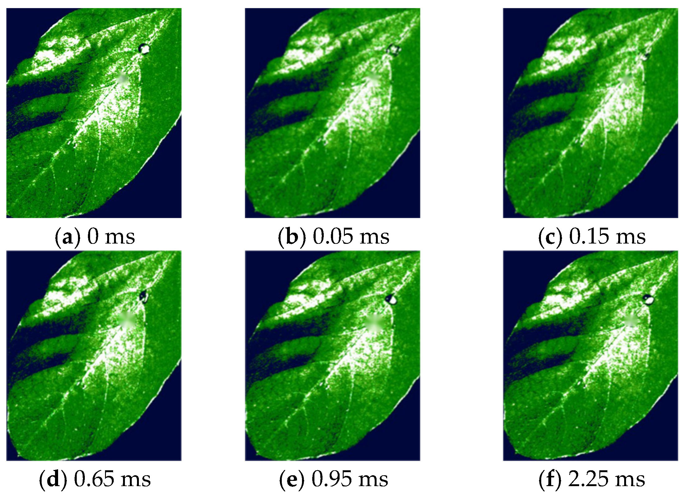 Agronomy 15 02578 g013
