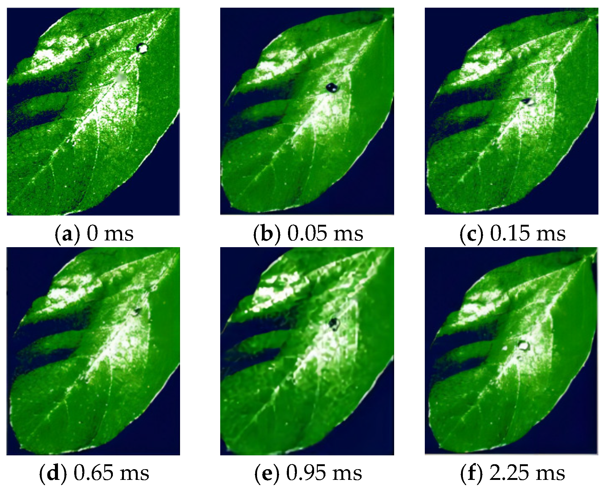 Agronomy 15 02578 g014