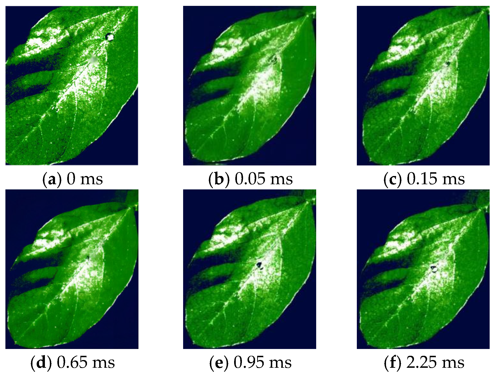Agronomy 15 02578 g017