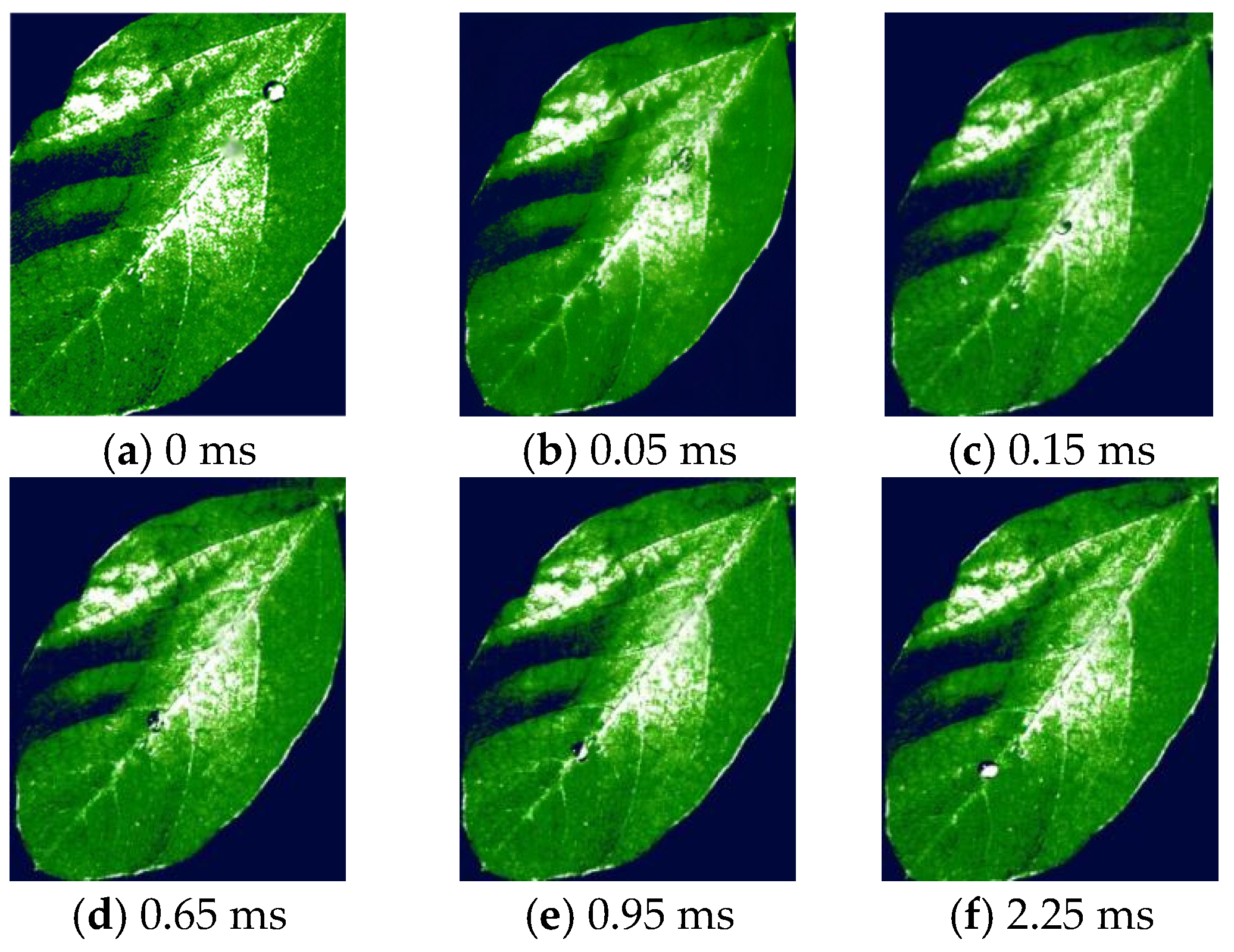 Agronomy 15 02578 g018