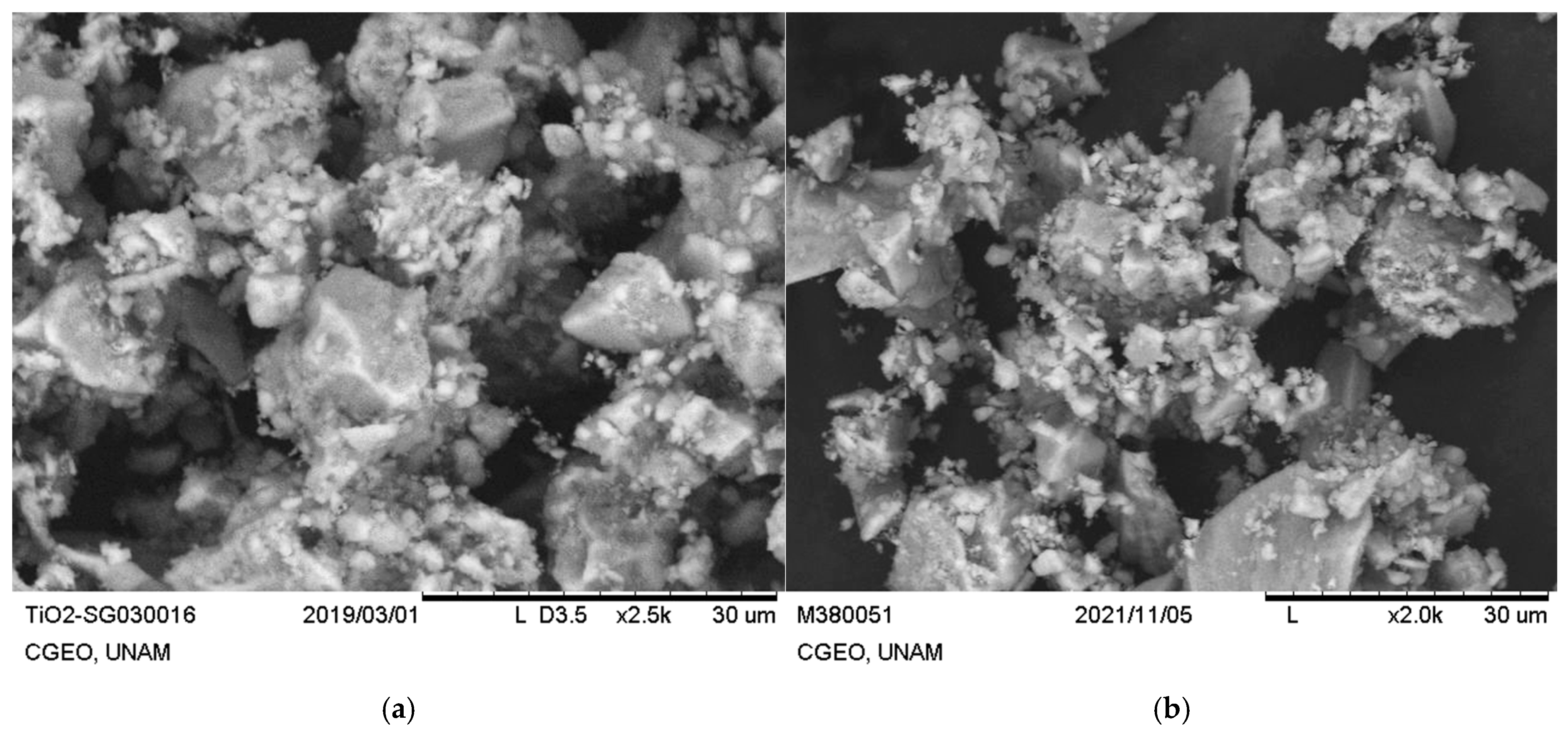 Agronomy 15 02580 g001