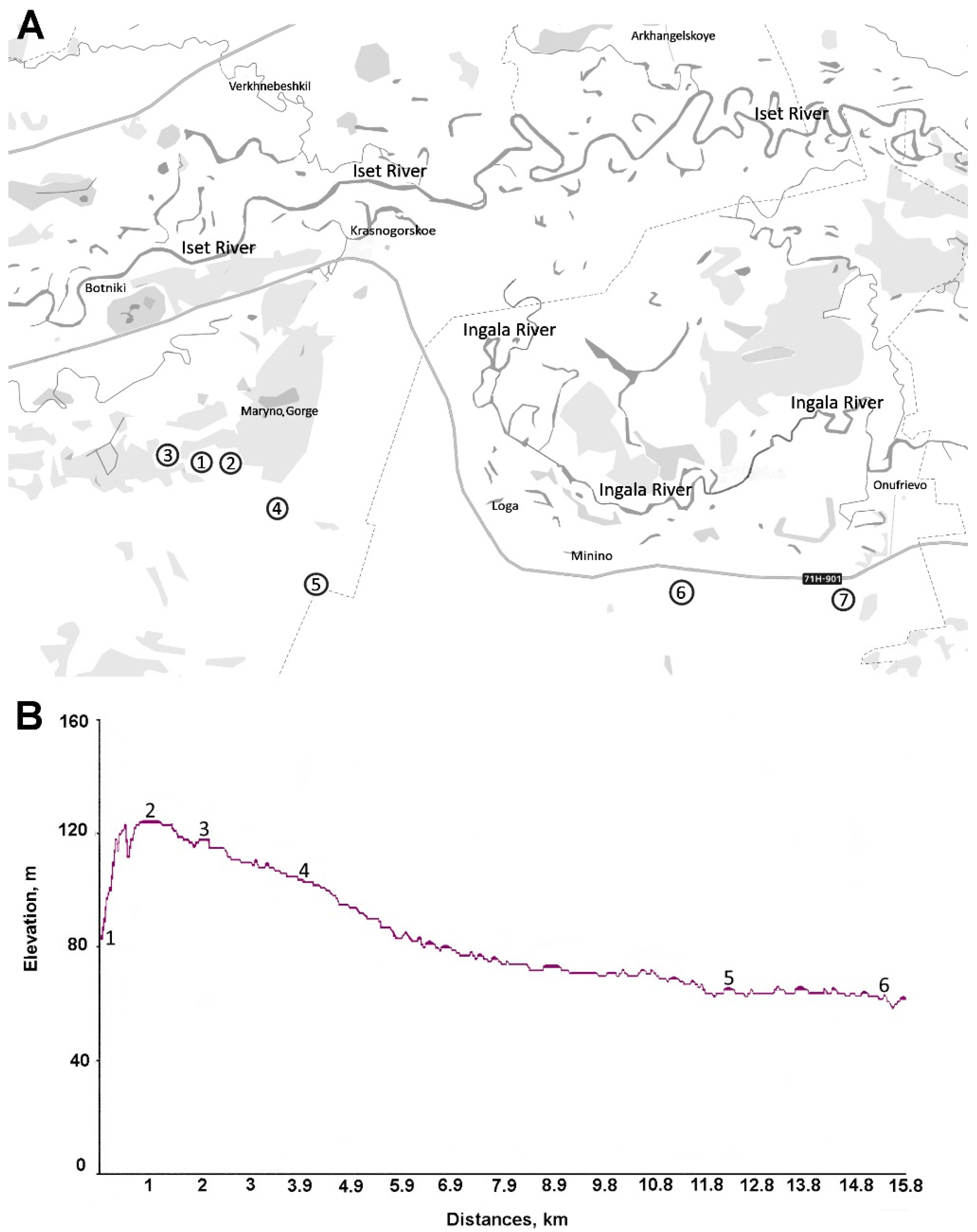 Agronomy 15 02588 g001