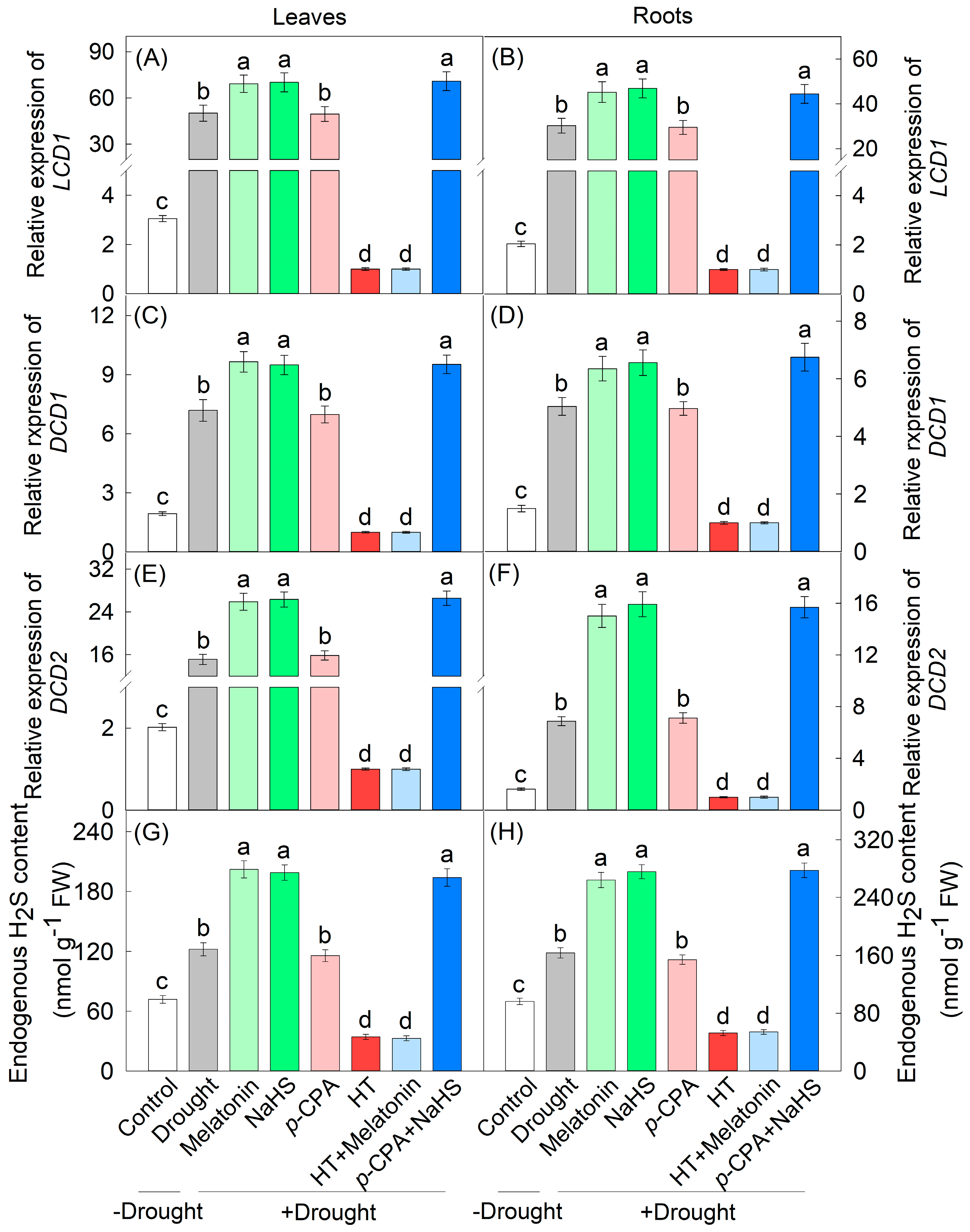 Agronomy 15 02592 g001