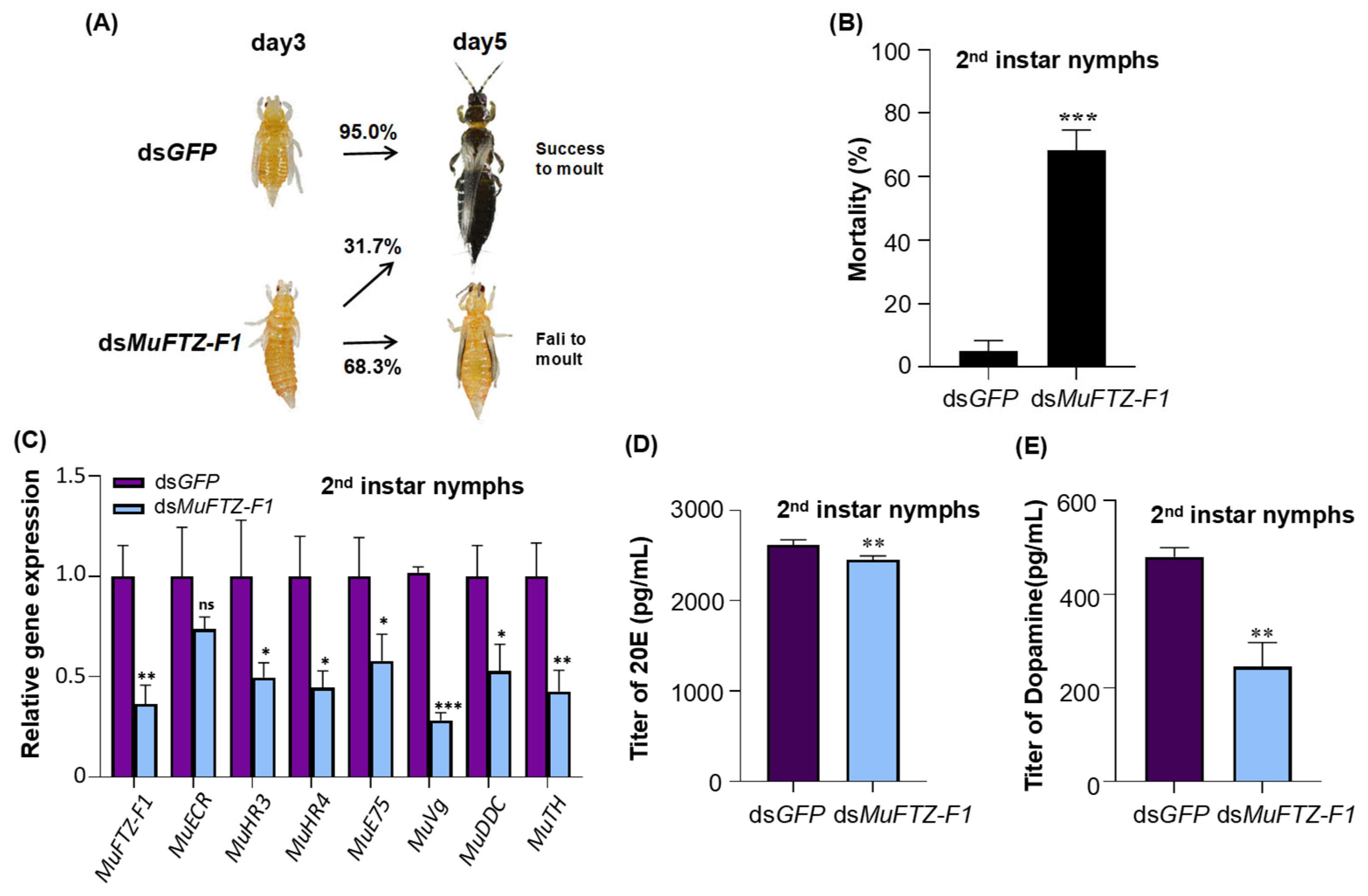 Agronomy 15 02593 g003