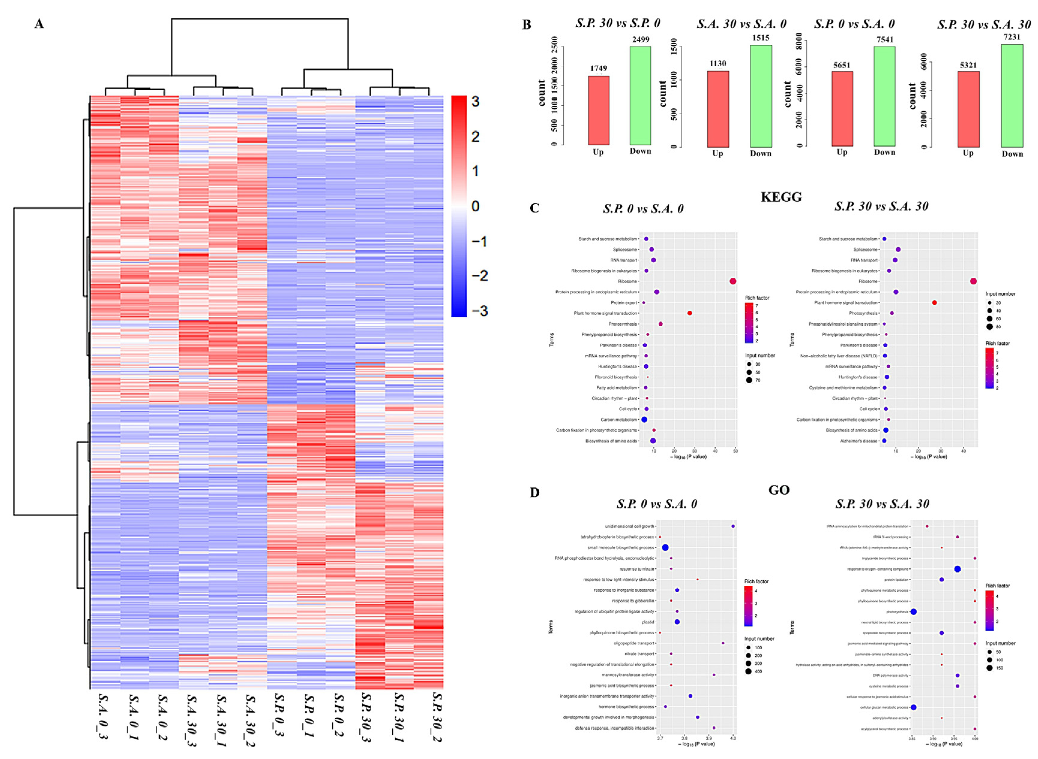 Agronomy 15 02595 g006 Agronomy 15 02595 g006