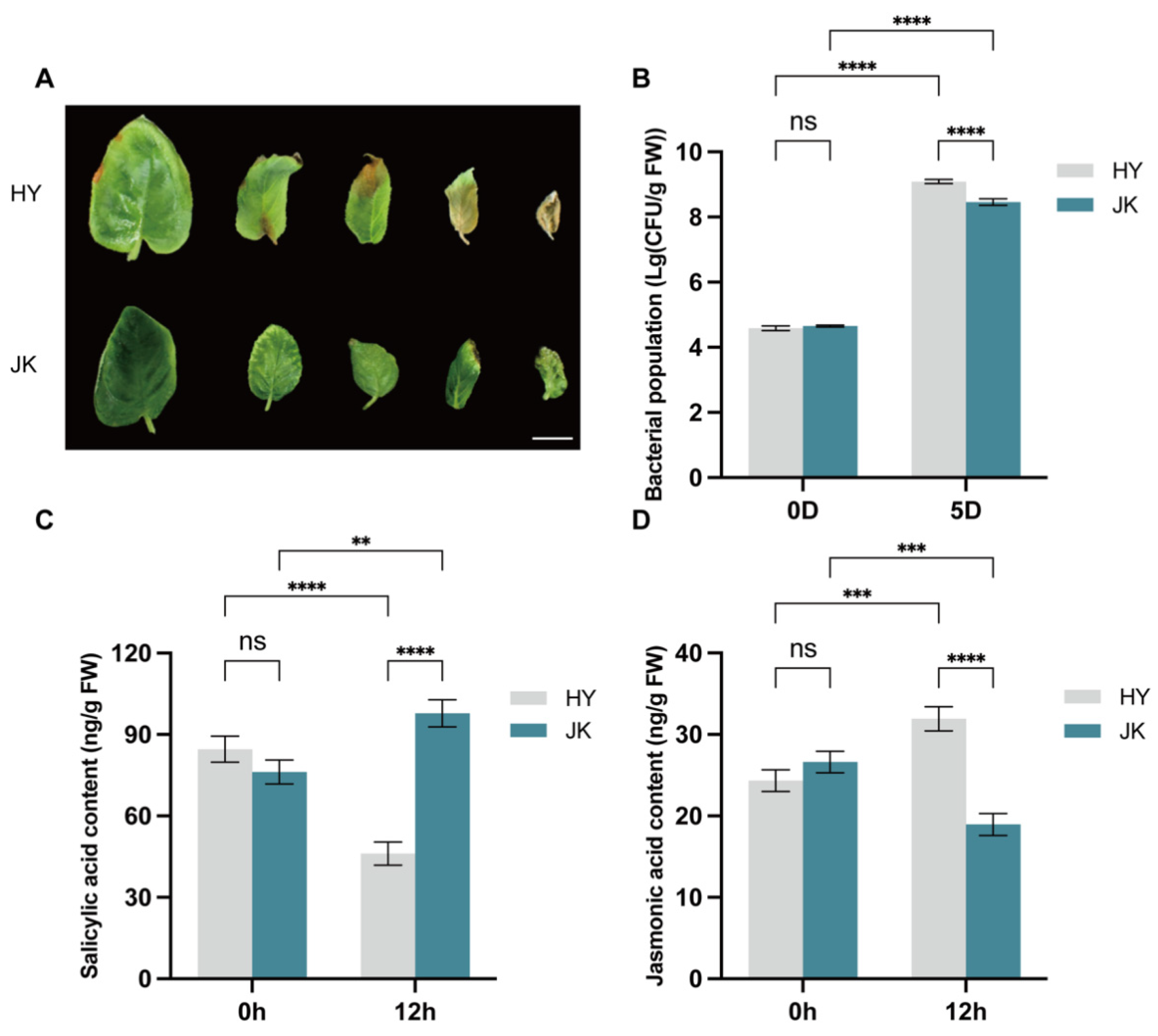 Agronomy 15 02598 g001