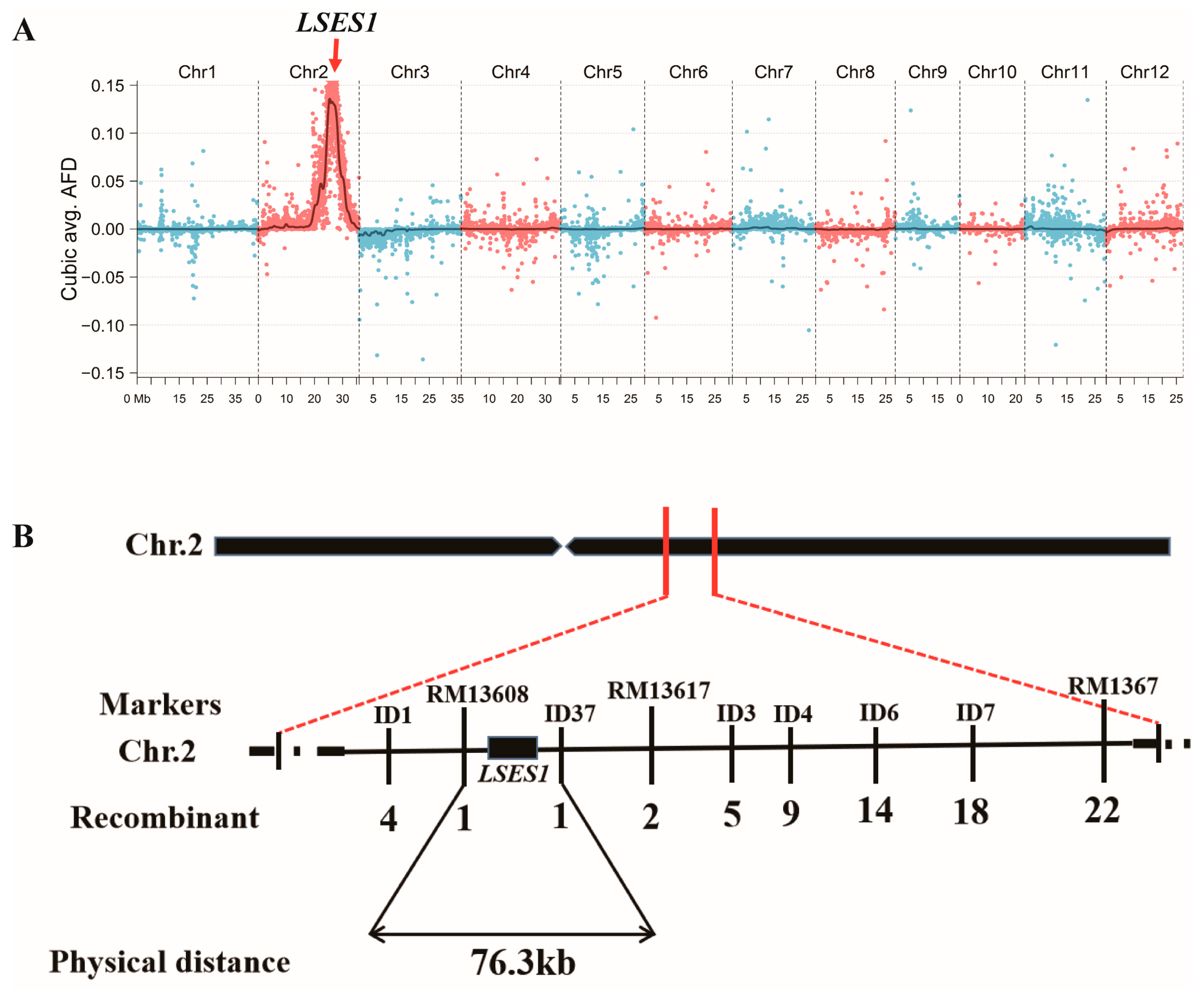 Agronomy 15 02601 g003