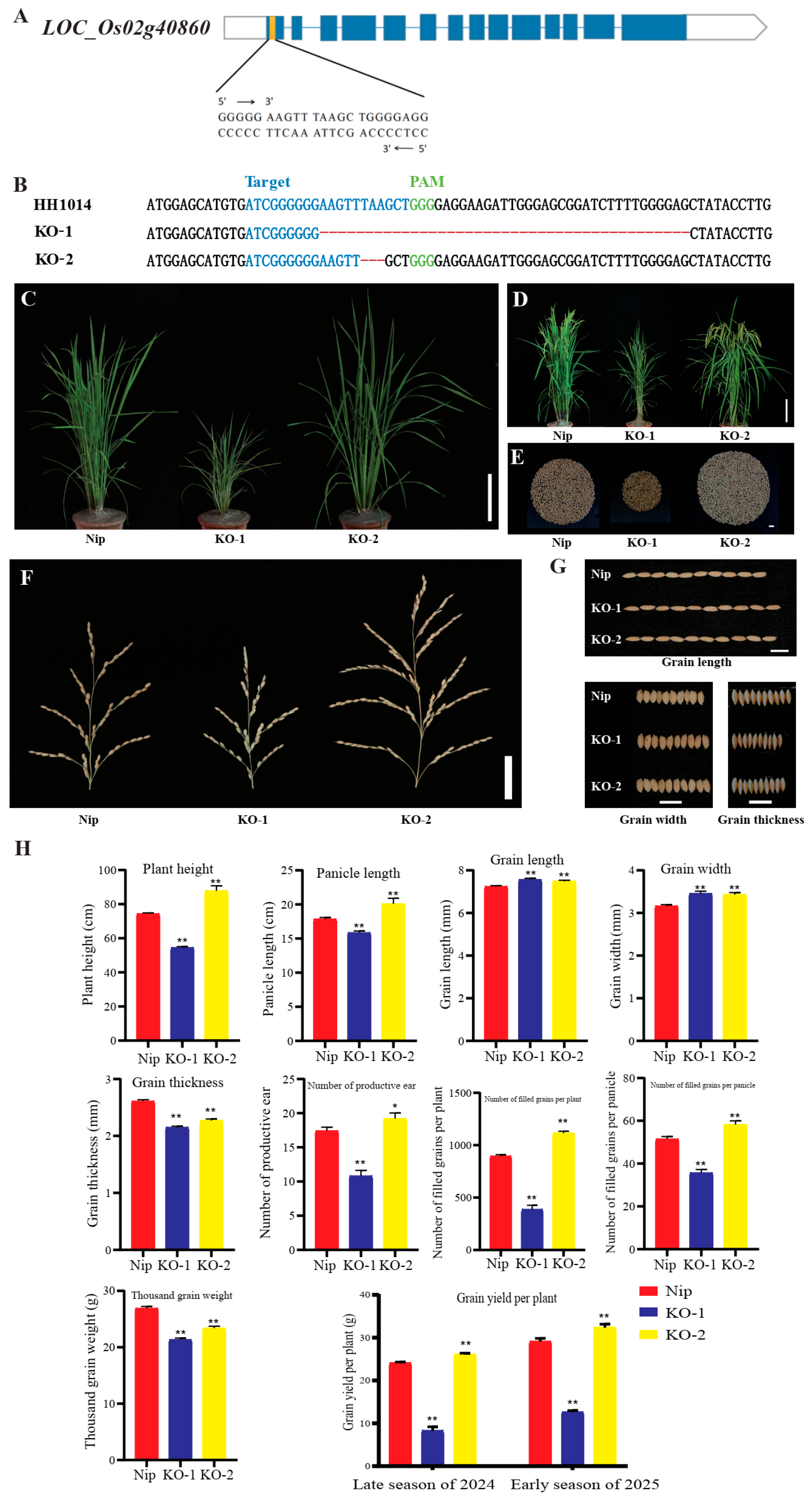 Agronomy 15 02601 g006