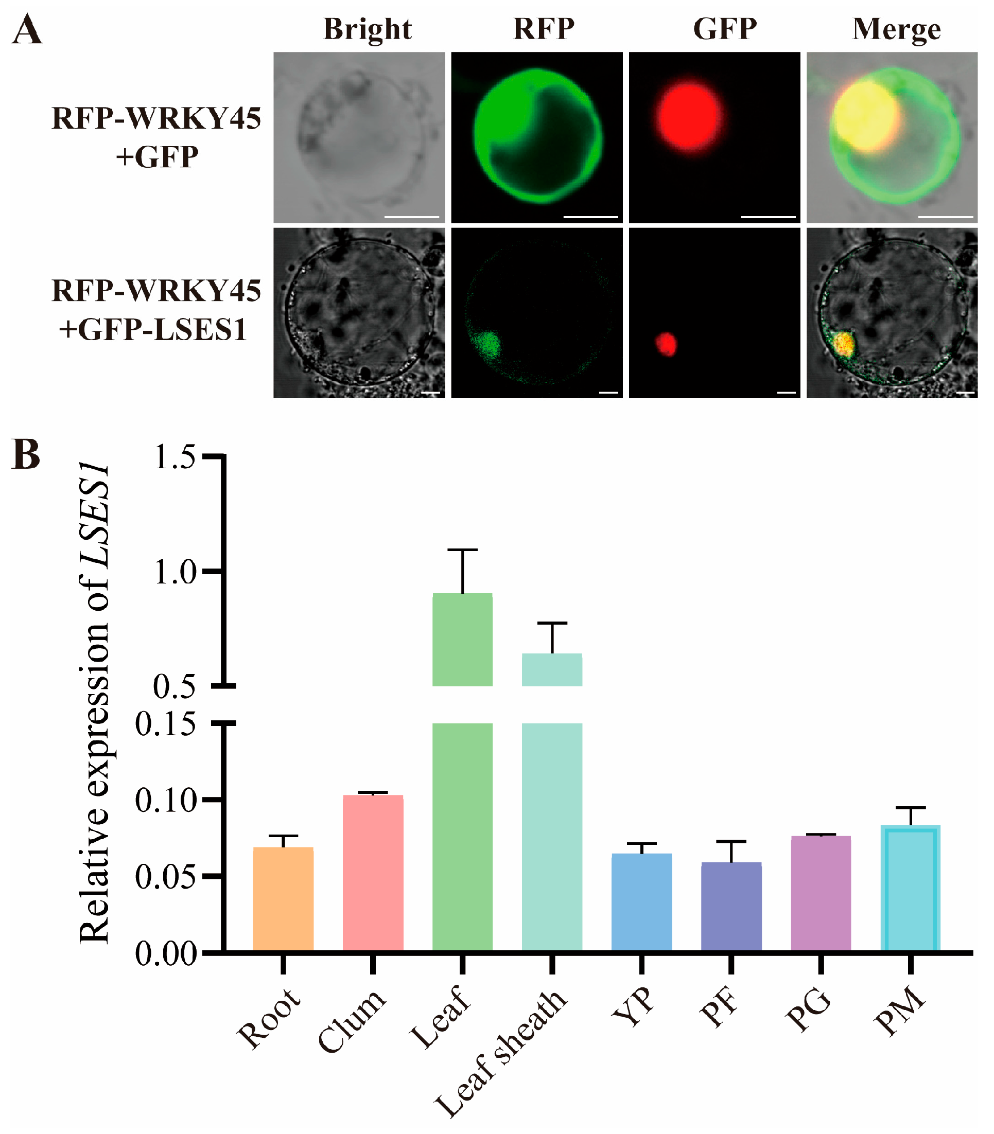 Agronomy 15 02601 g007