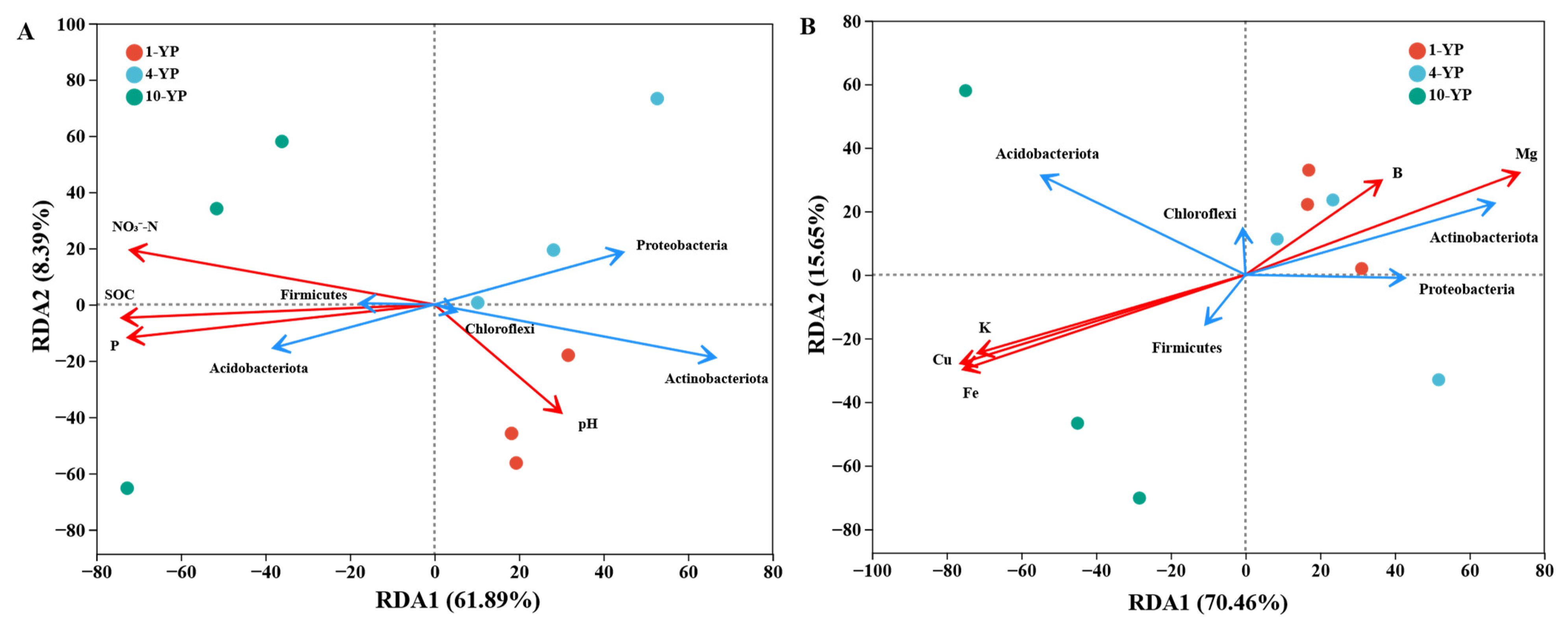 Agronomy 15 02602 g007