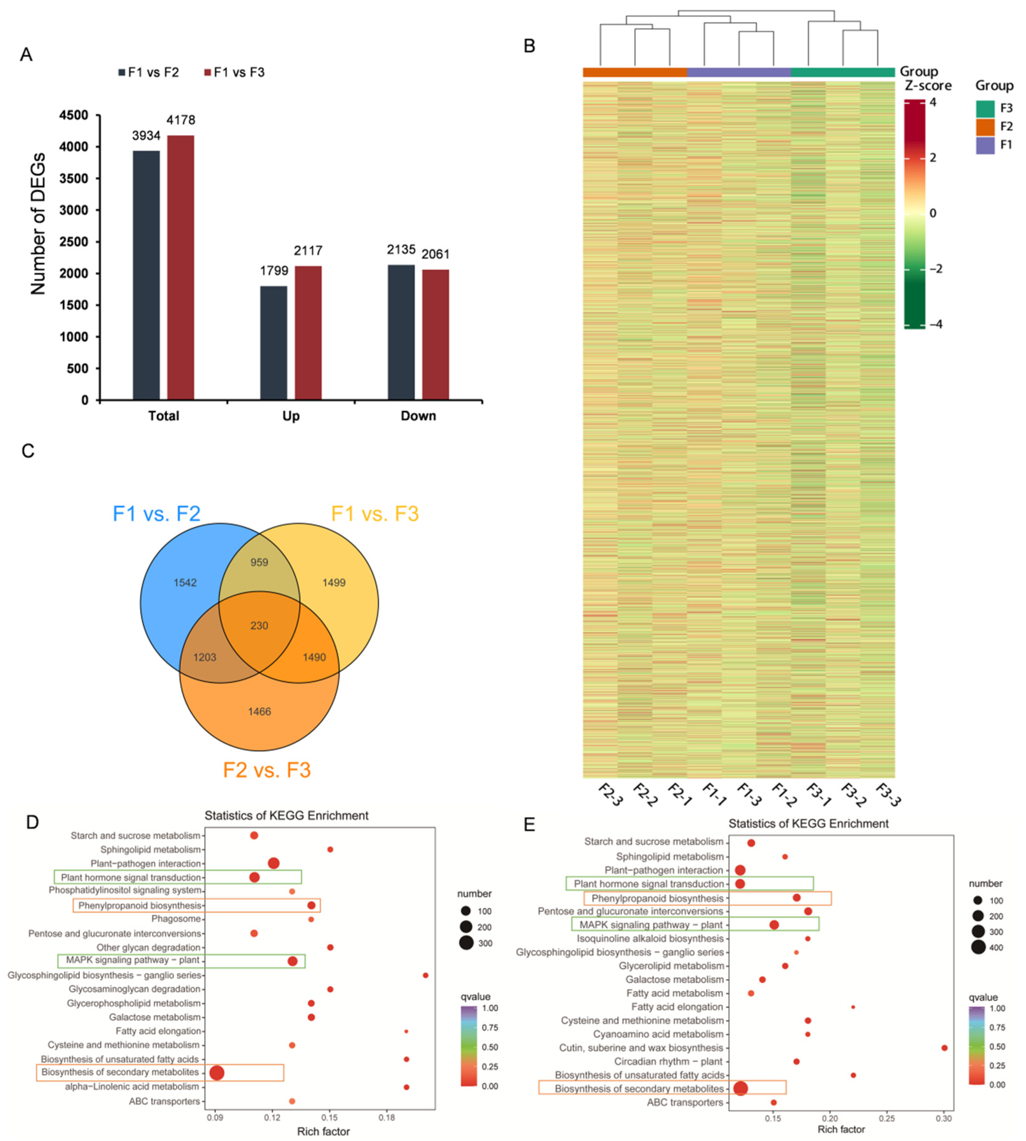 Agronomy 15 02606 g002
