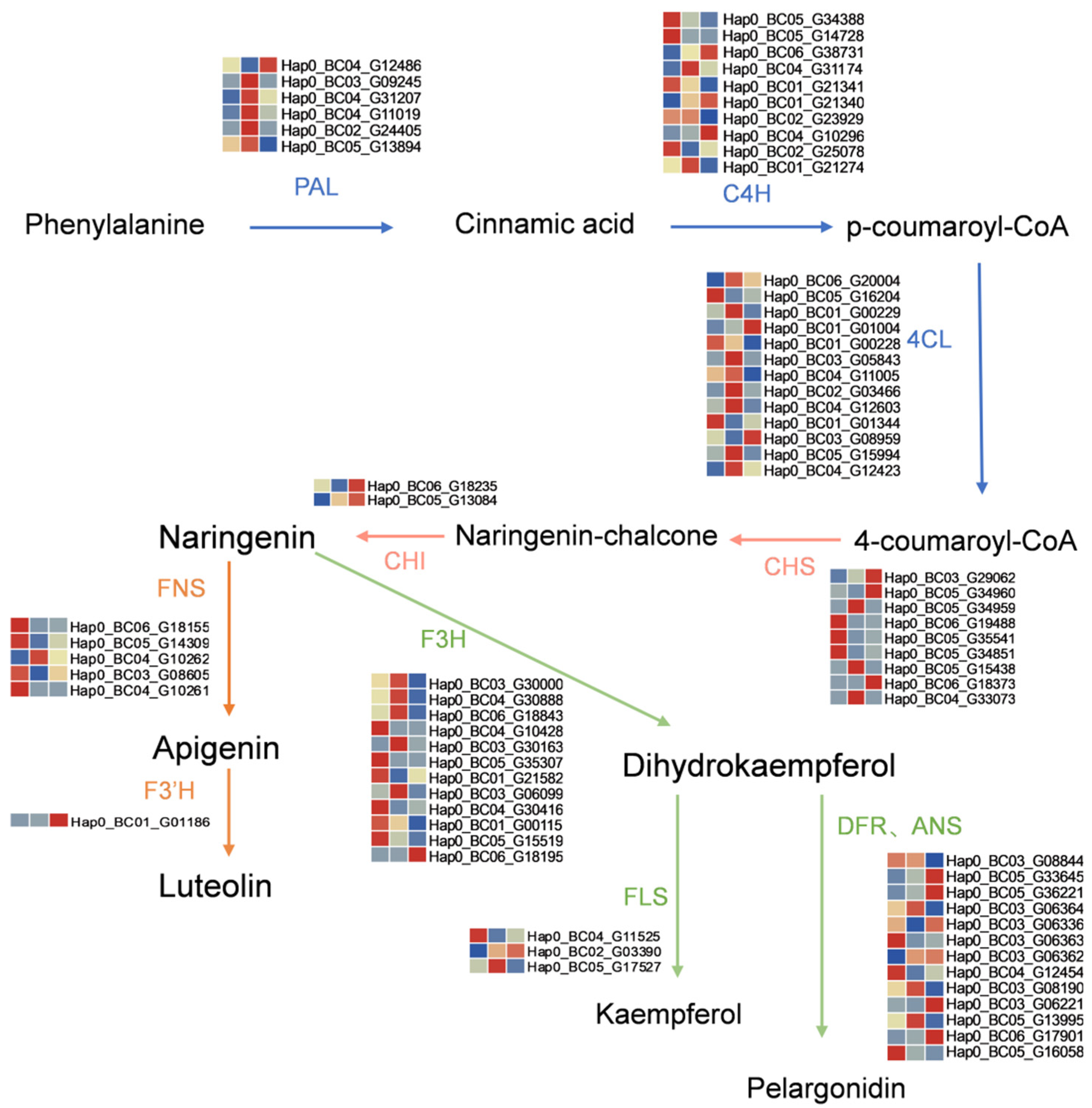 Agronomy 15 02606 g003