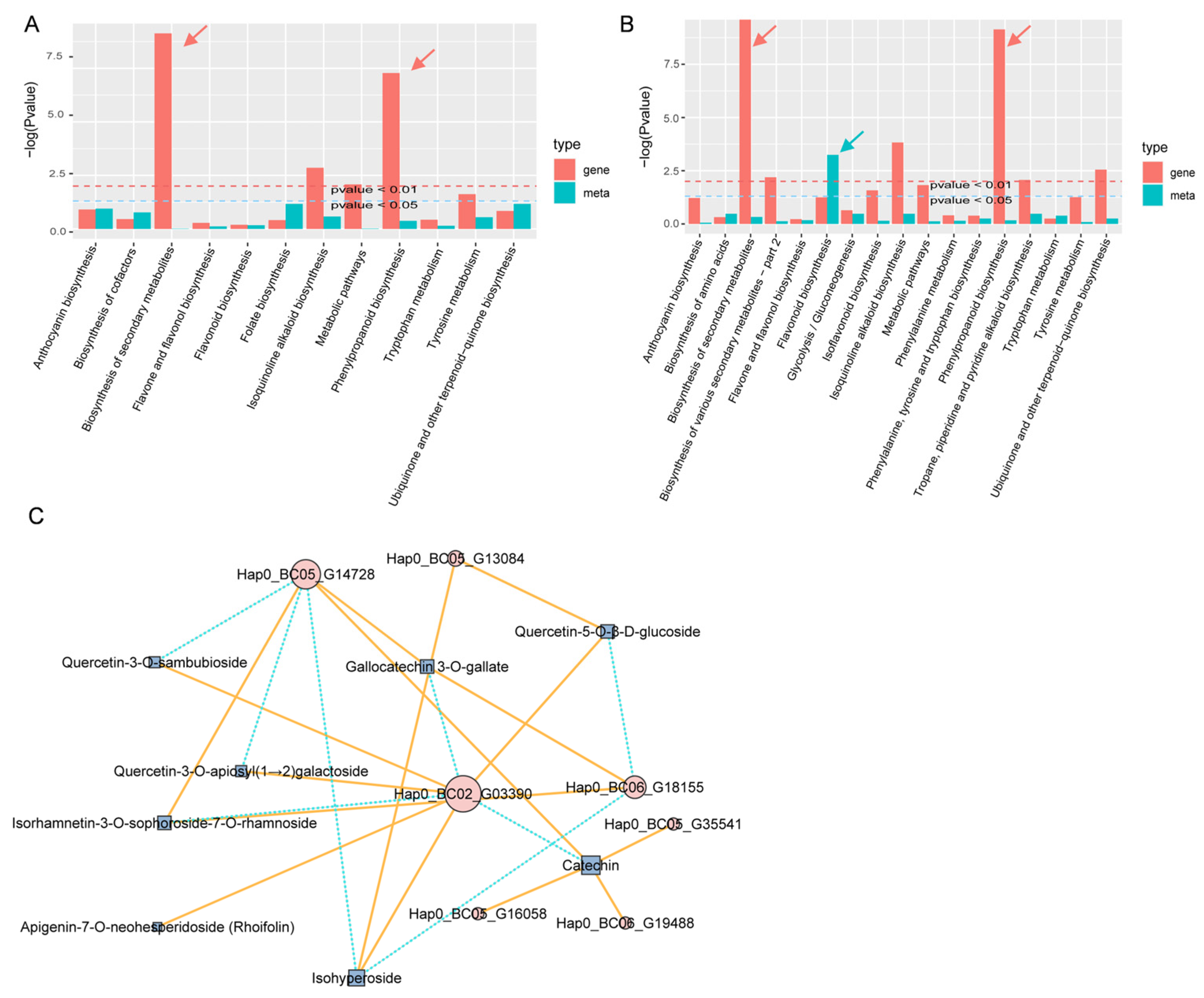 Agronomy 15 02606 g008