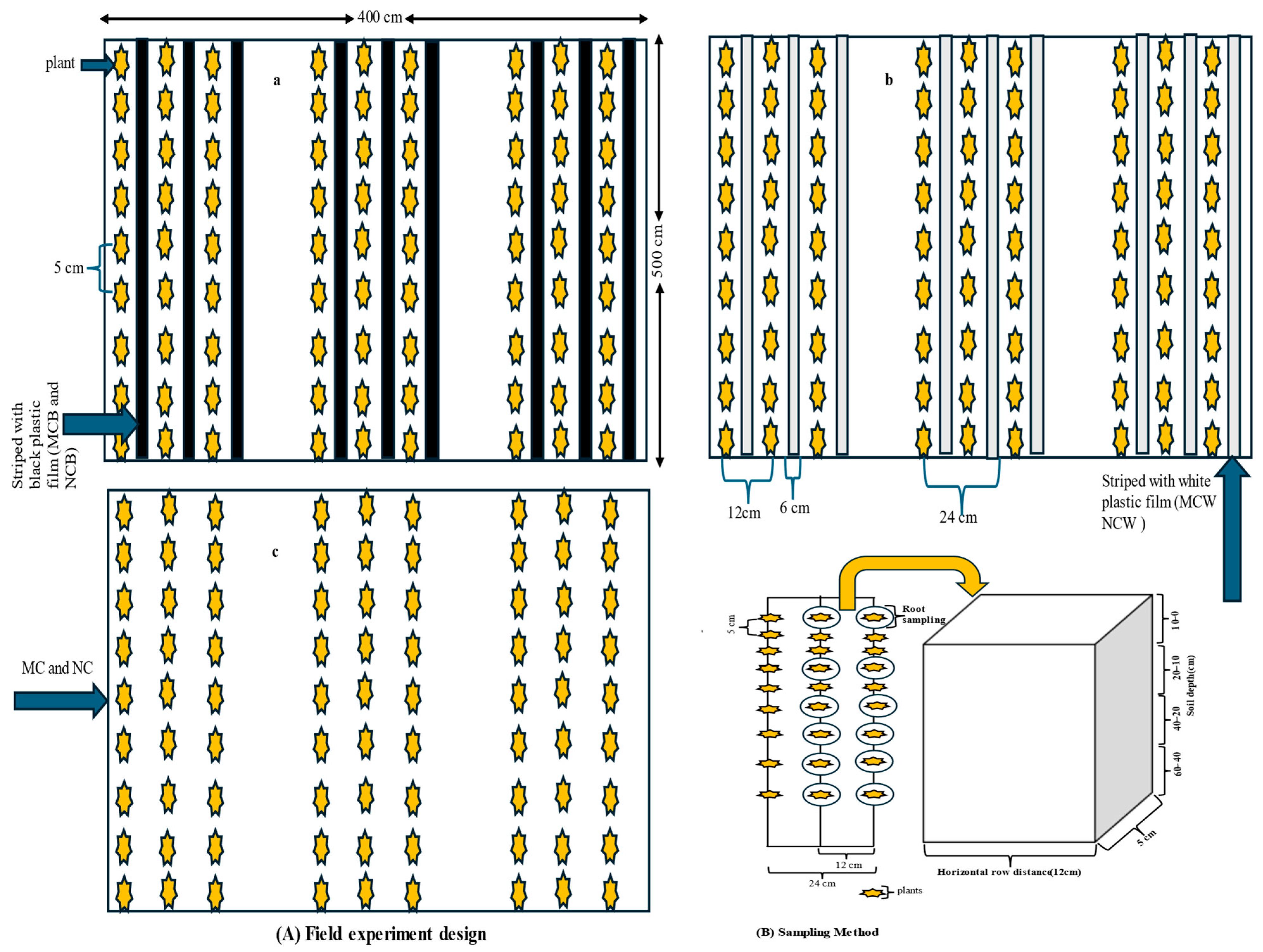 Agronomy 15 02607 g001