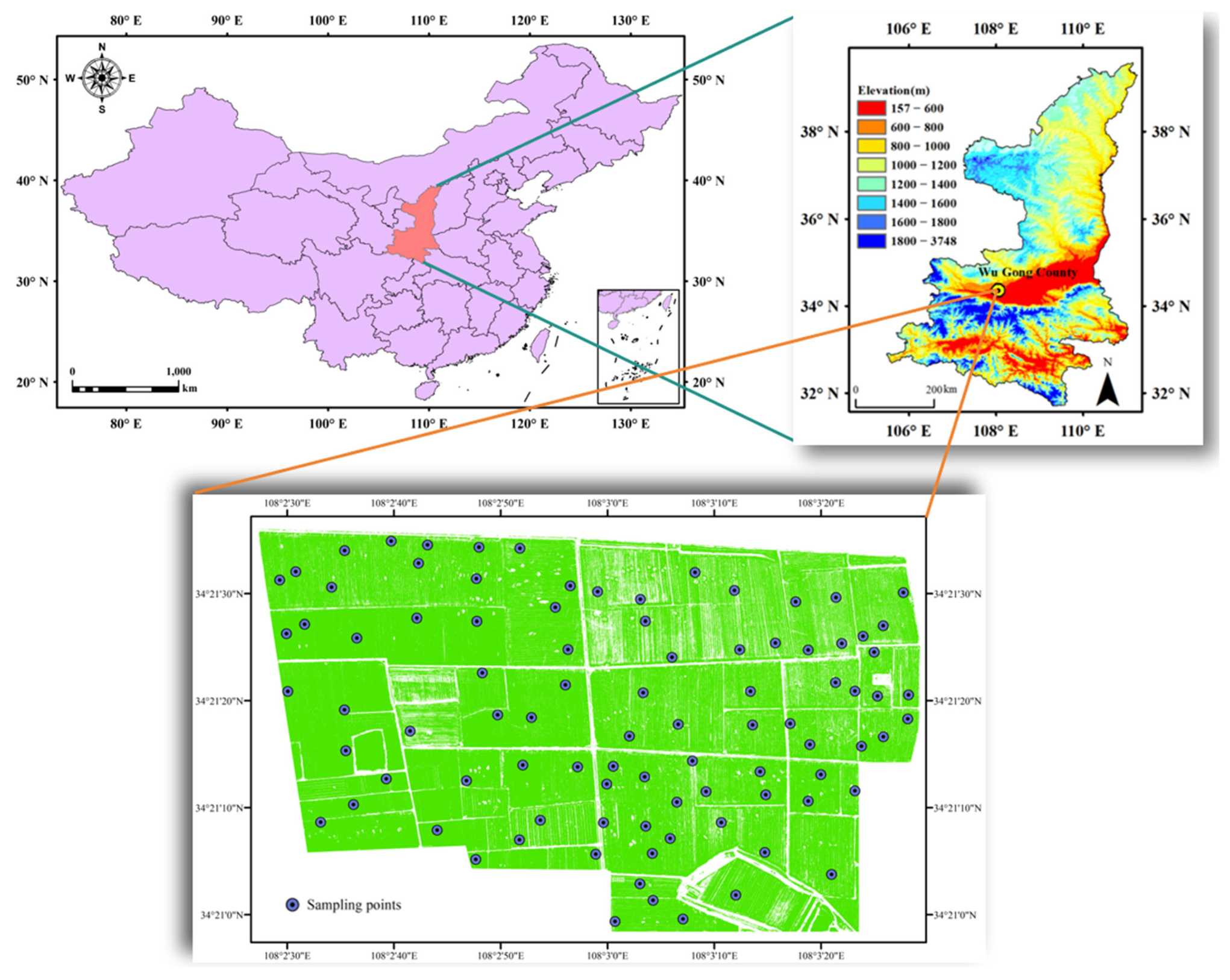 Agronomy 15 02610 g001