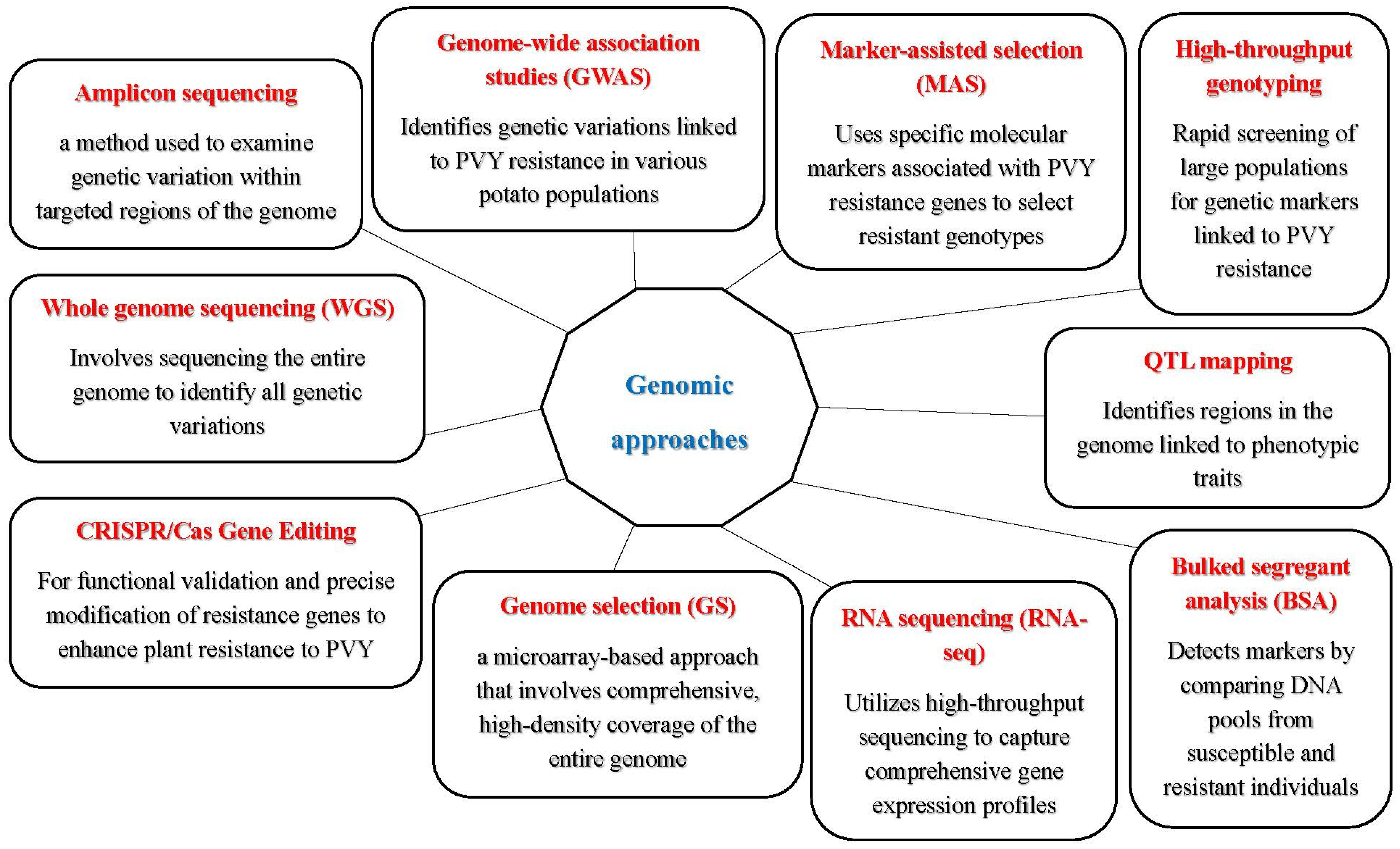 Agronomy 15 02611 g002