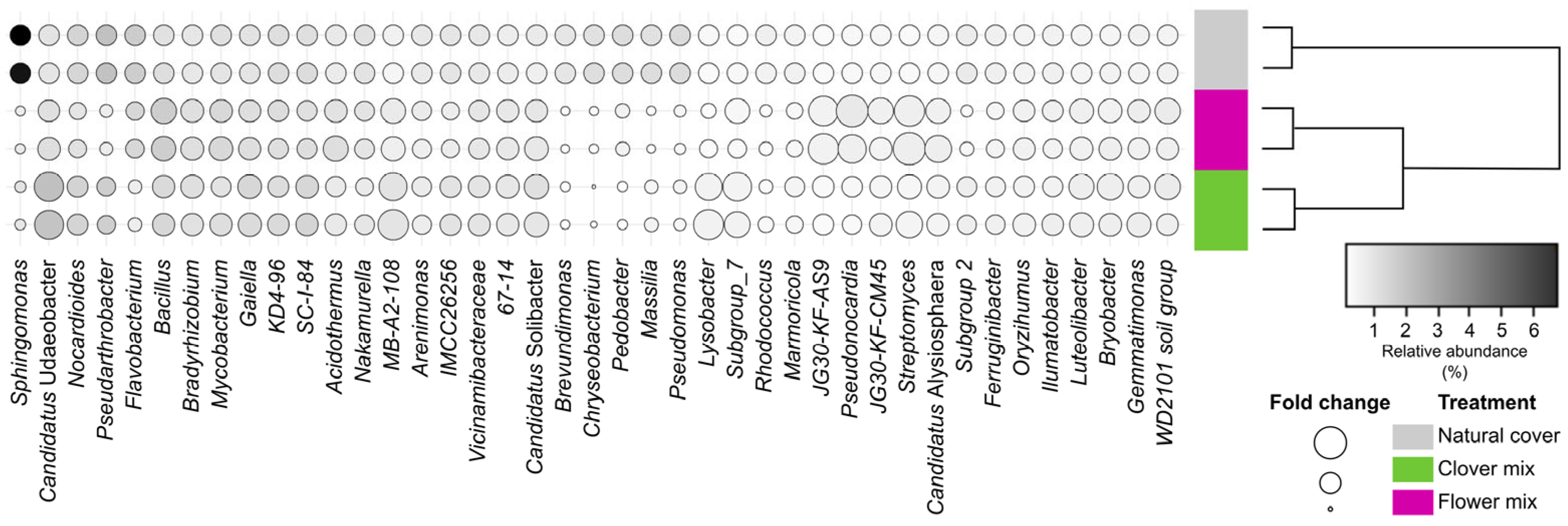 Agronomy 15 02612 g005