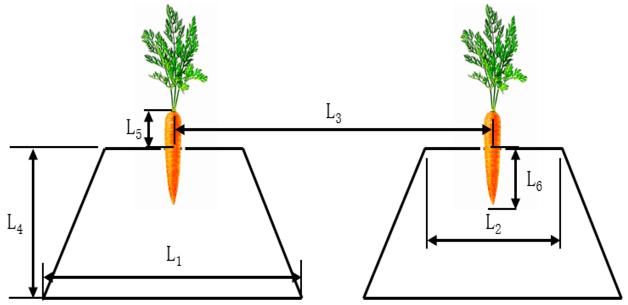 Agronomy 15 02613 g001