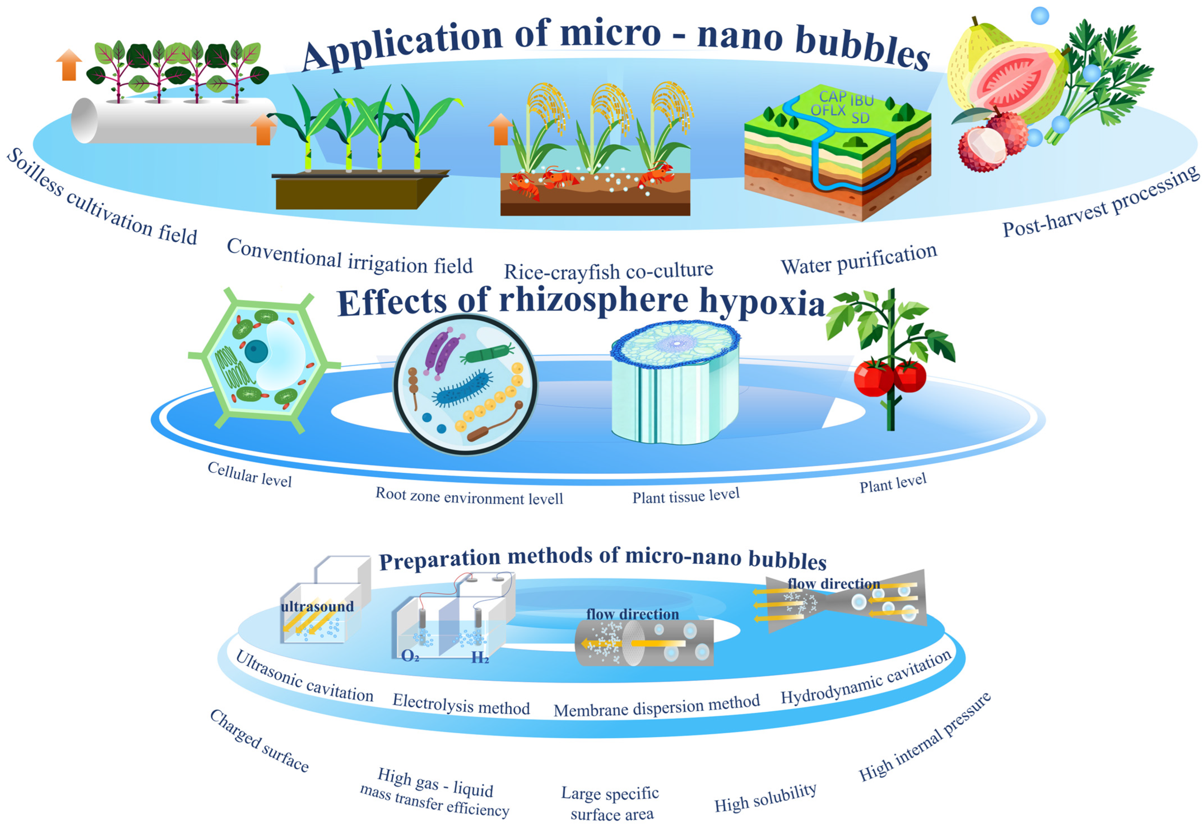Agronomy 15 02620 g001 Agronomy 15 02620 g001