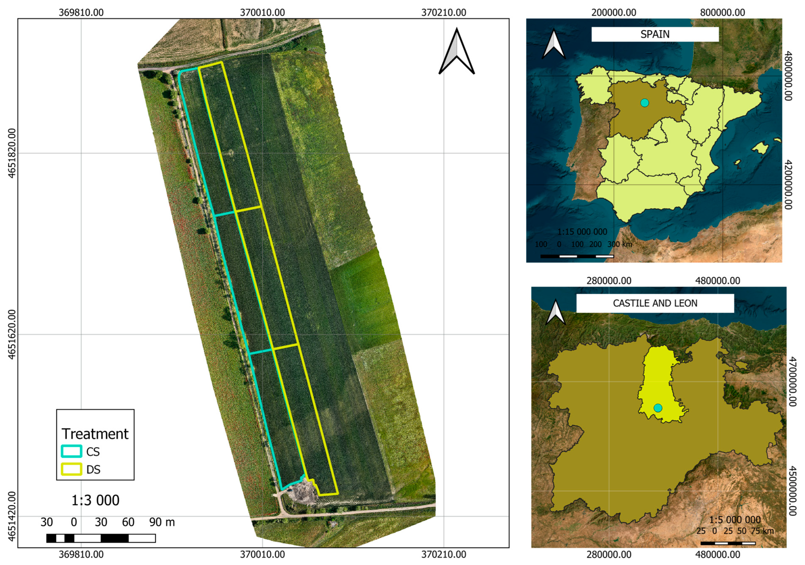 Agronomy 15 02625 g001