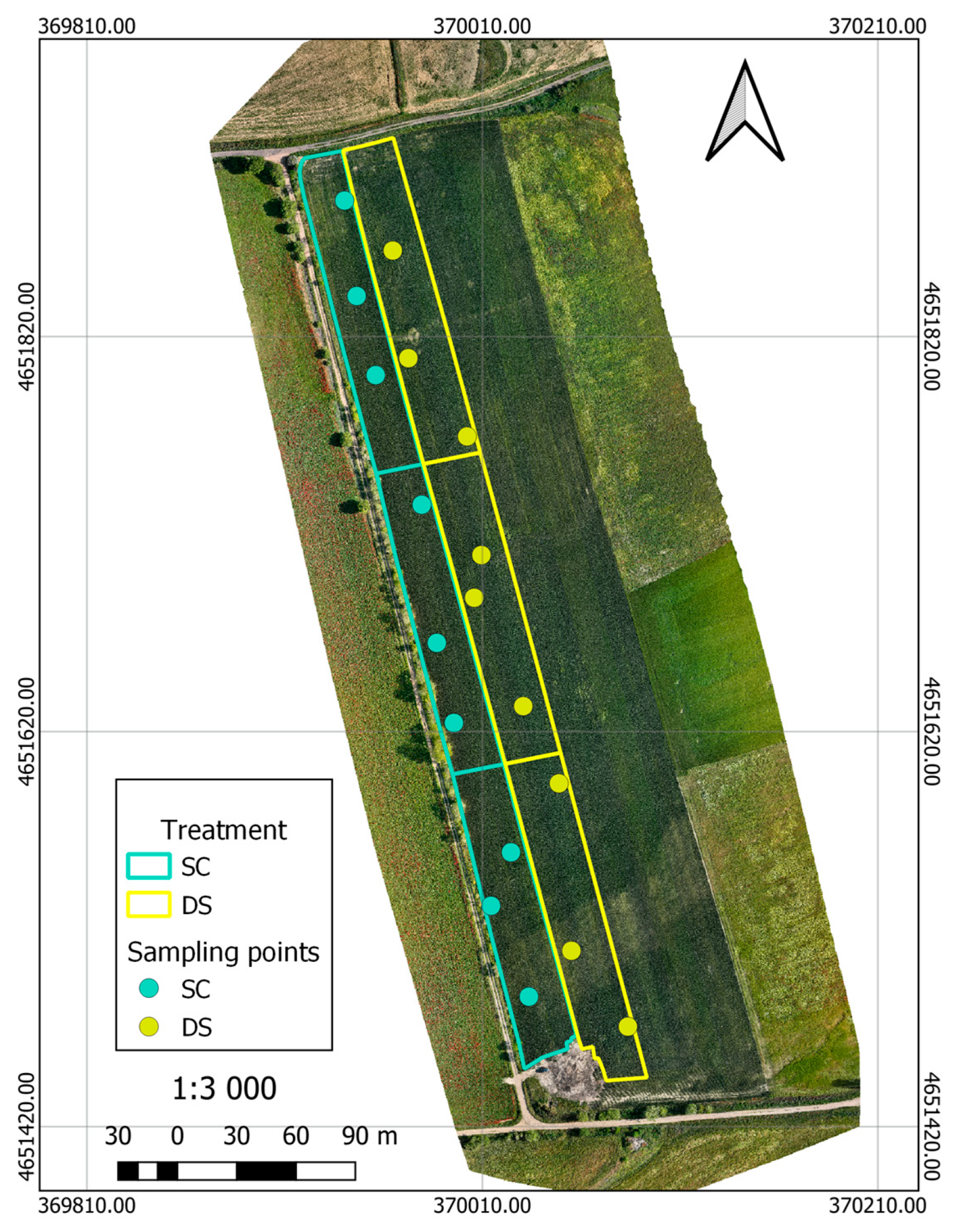 Agronomy 15 02625 g002