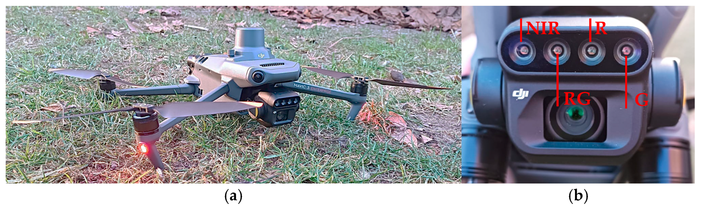 Agronomy 15 02625 g003