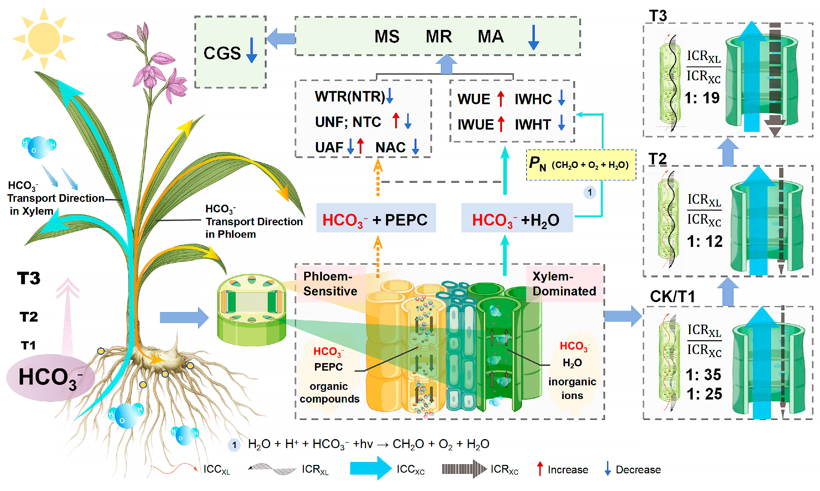 Agronomy 15 02628 g006 Agronomy 15 02628 g006