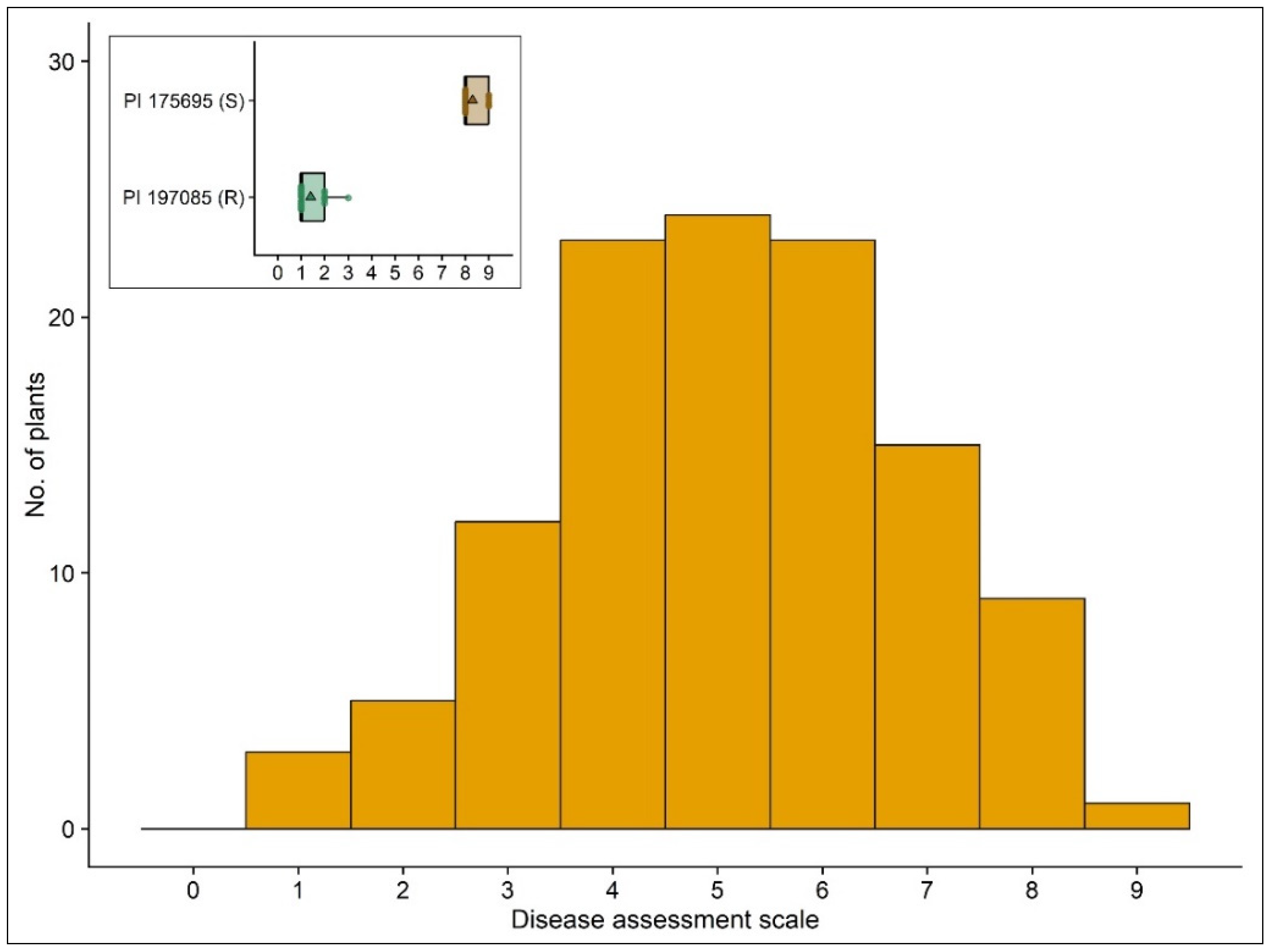 Agronomy 15 02633 g005