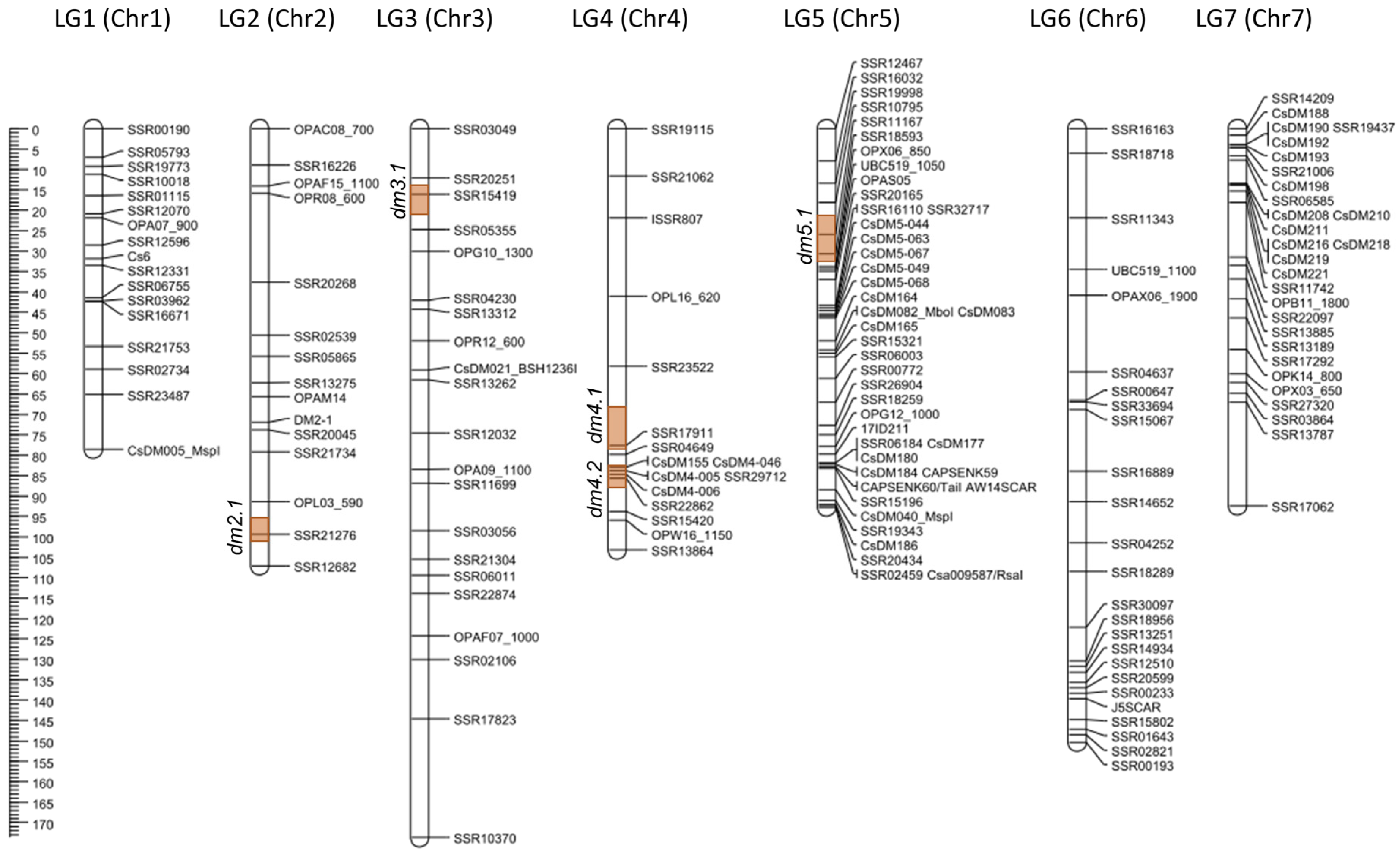 Agronomy 15 02633 g006