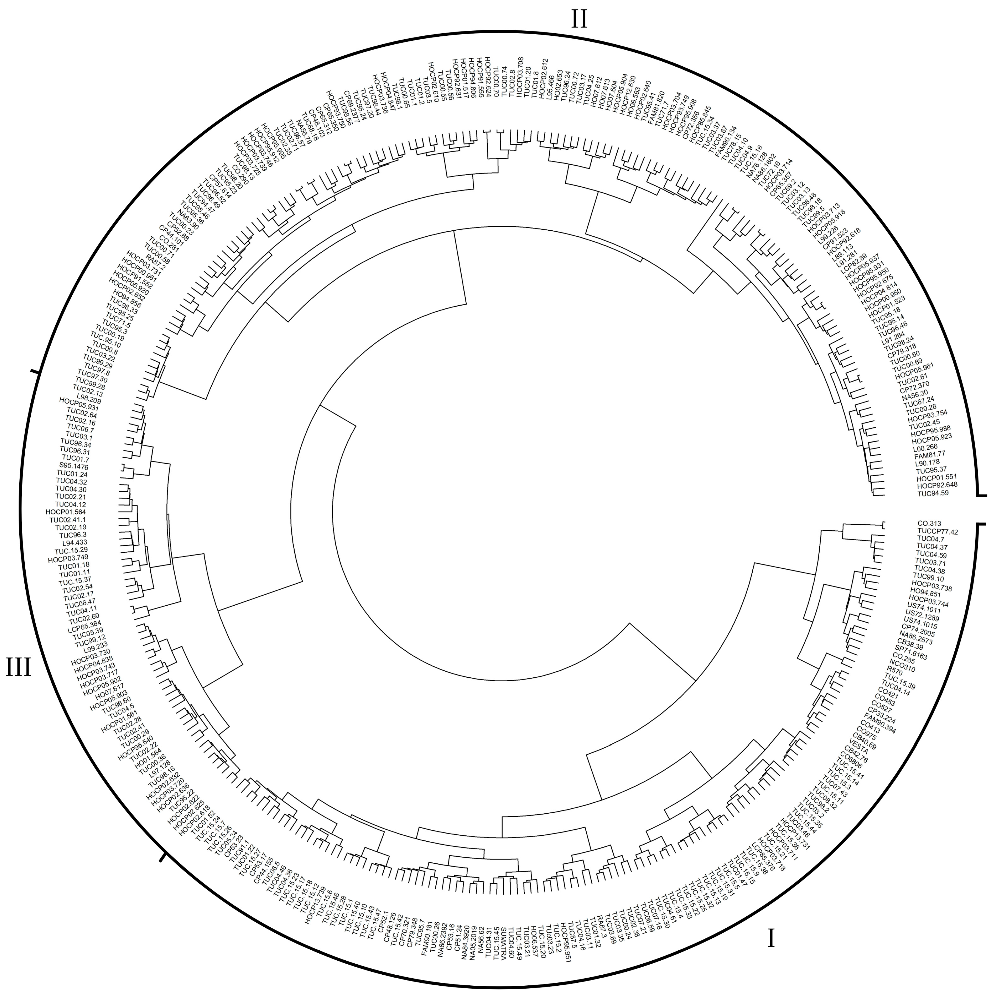 Agronomy 15 02638 g001 Agronomy 15 02638 g001