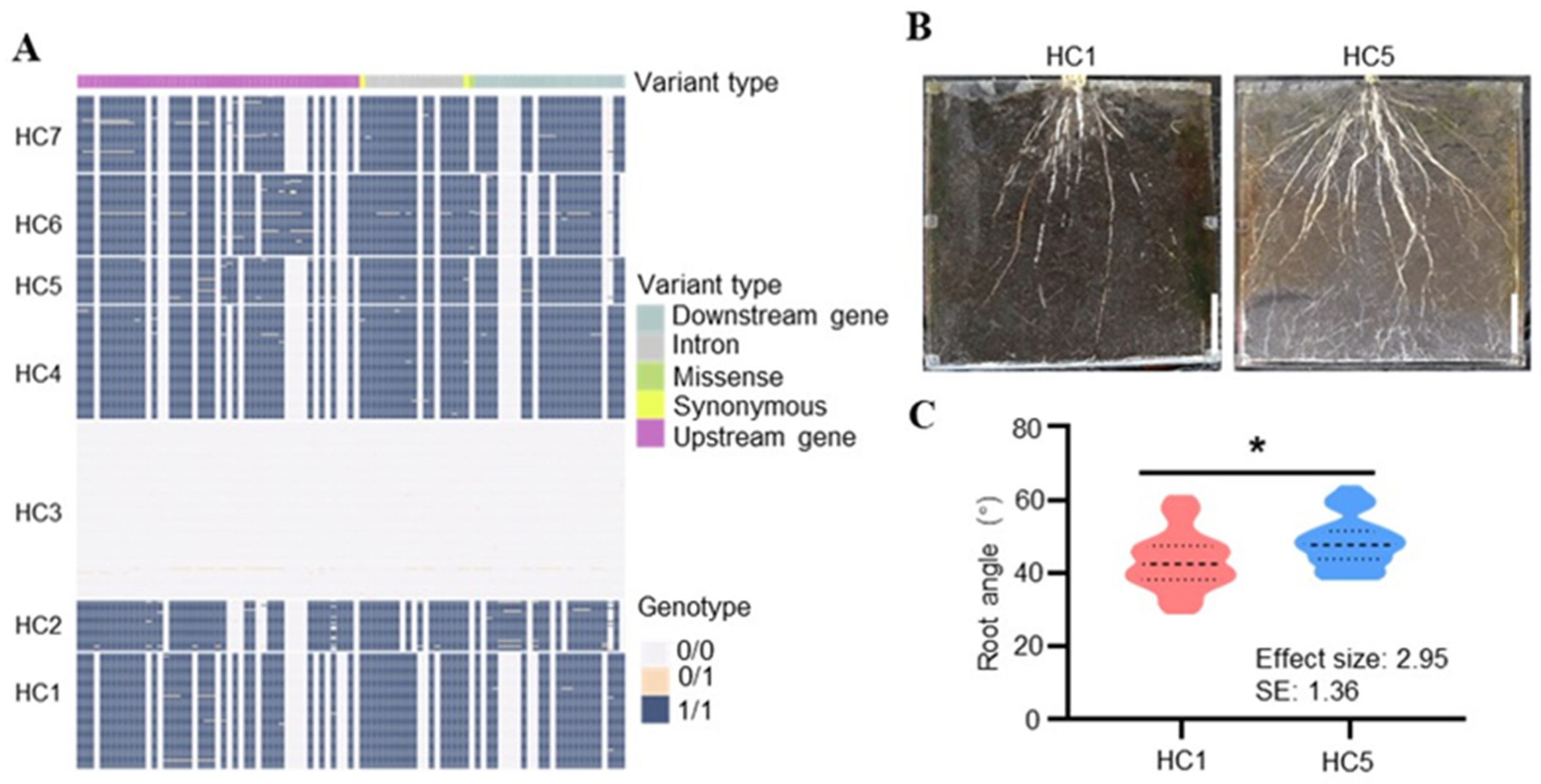 Agronomy 15 02639 g005 Agronomy 15 02639 g005