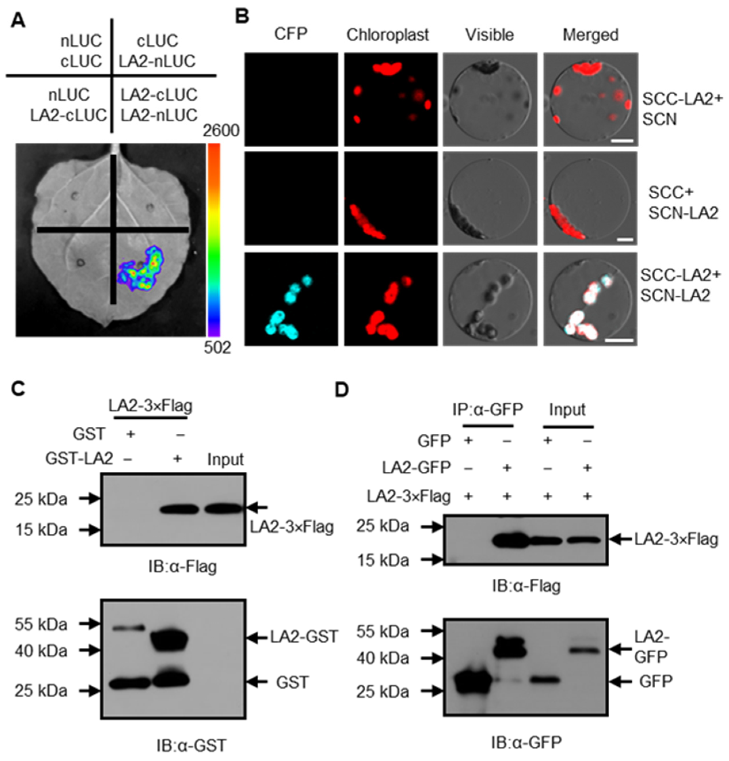 Agronomy 15 02639 g006 Agronomy 15 02639 g006