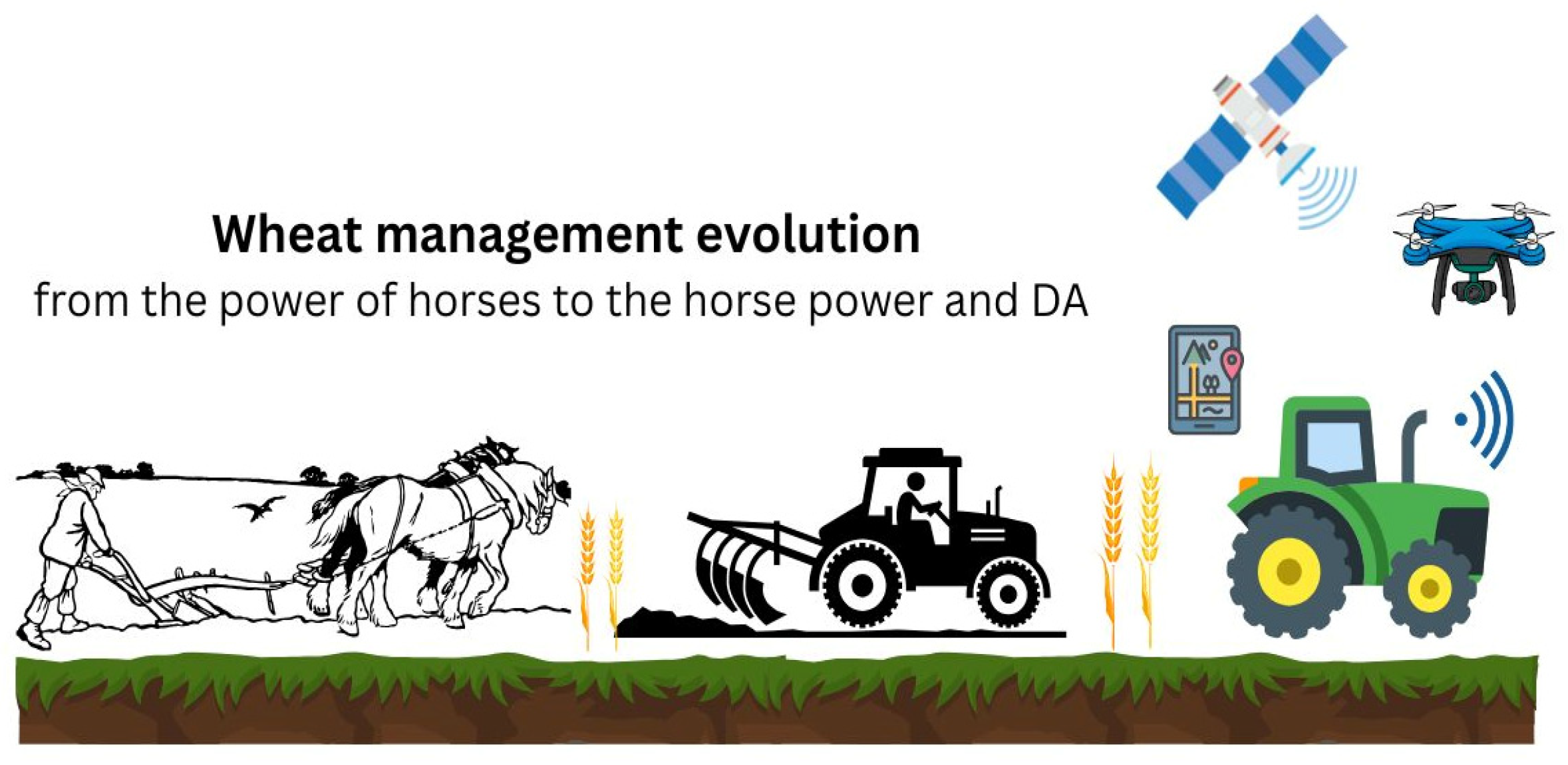 Agronomy 15 02640 g001 Agronomy 15 02640 g001