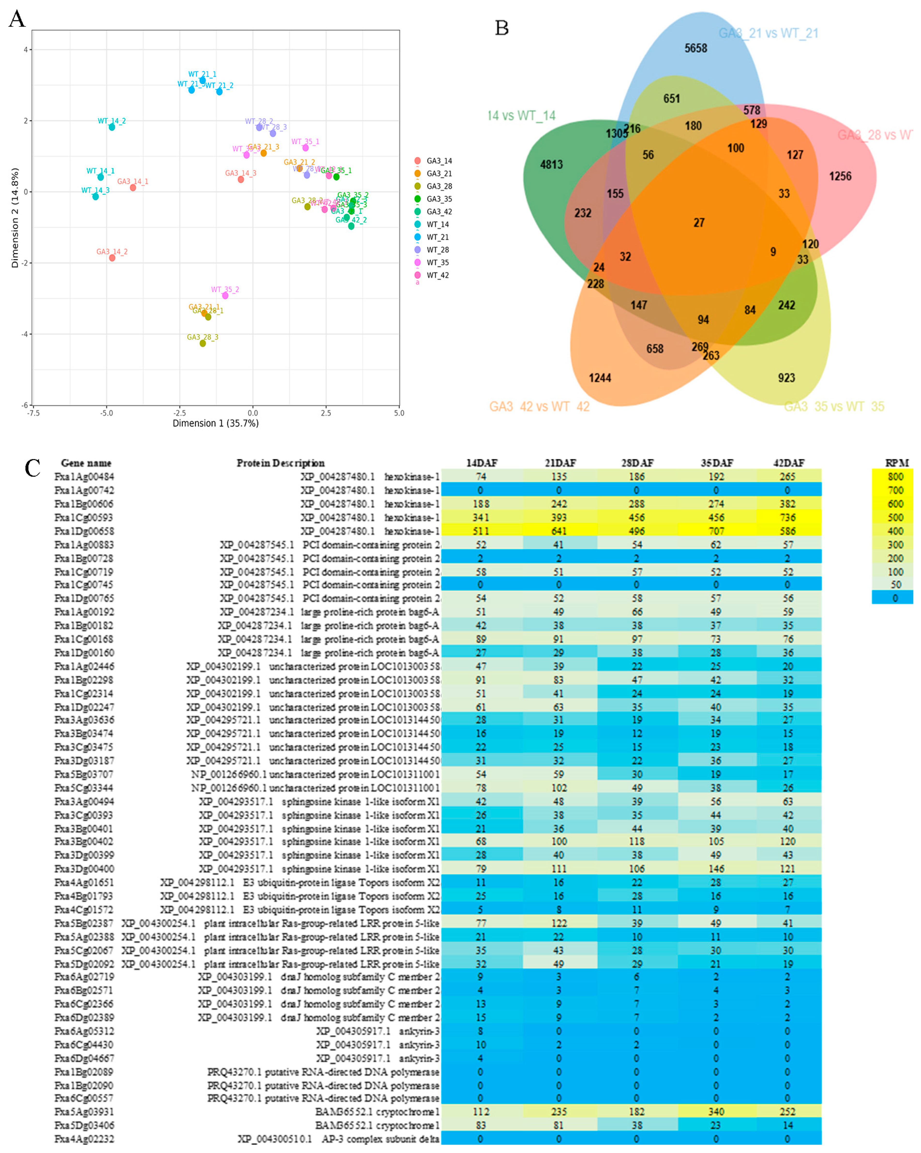 Agronomy 15 02645 g003