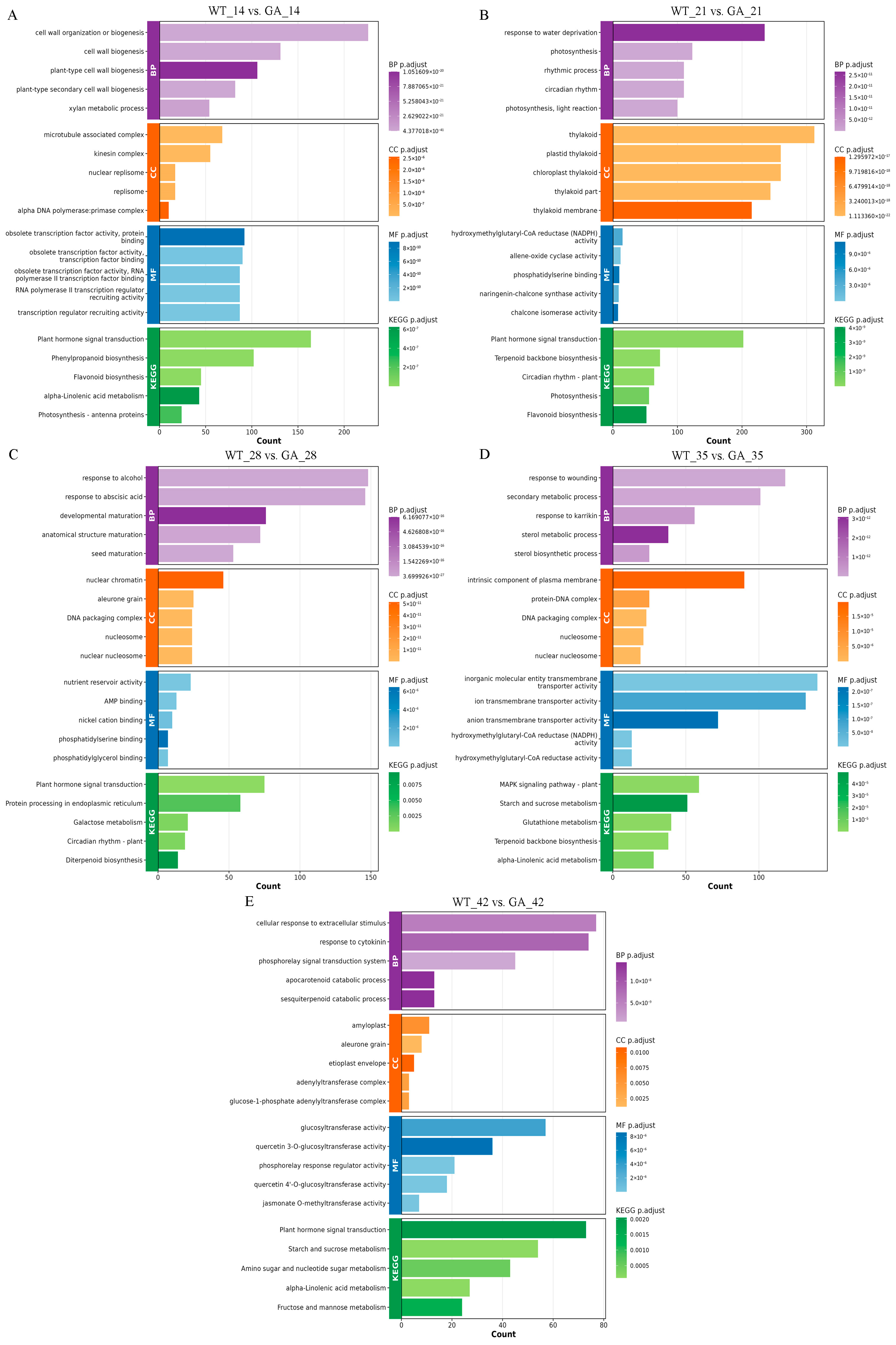 Agronomy 15 02645 g004
