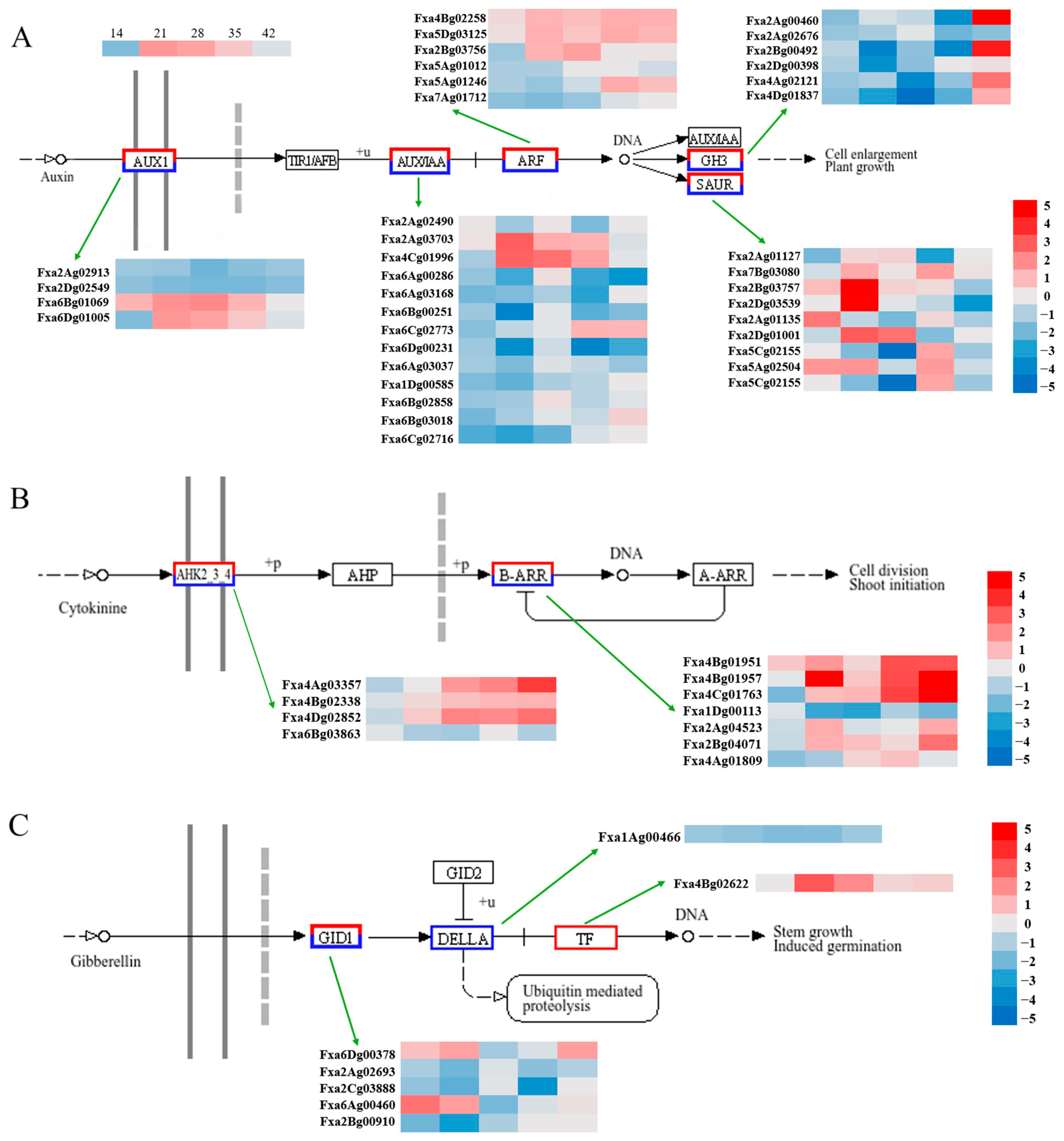 Agronomy 15 02645 g005